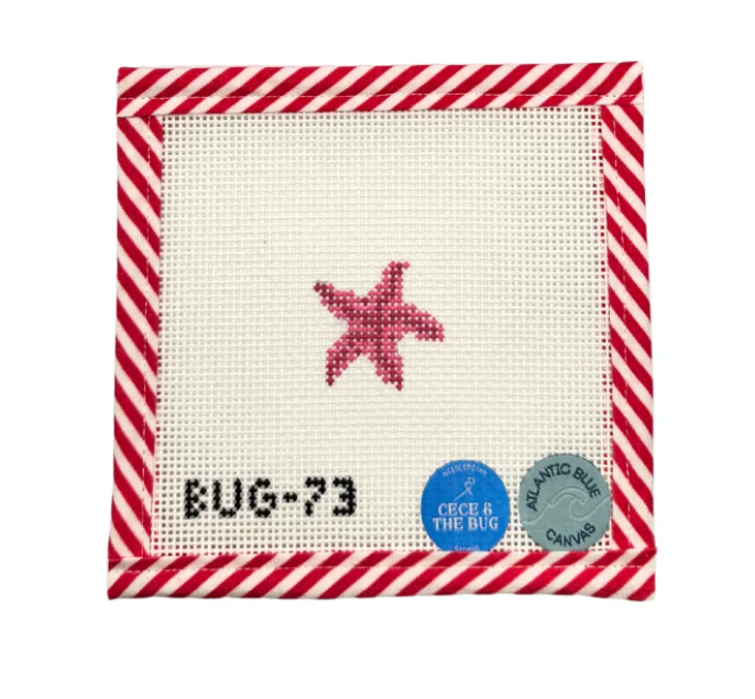 Mini Starfish Canvas