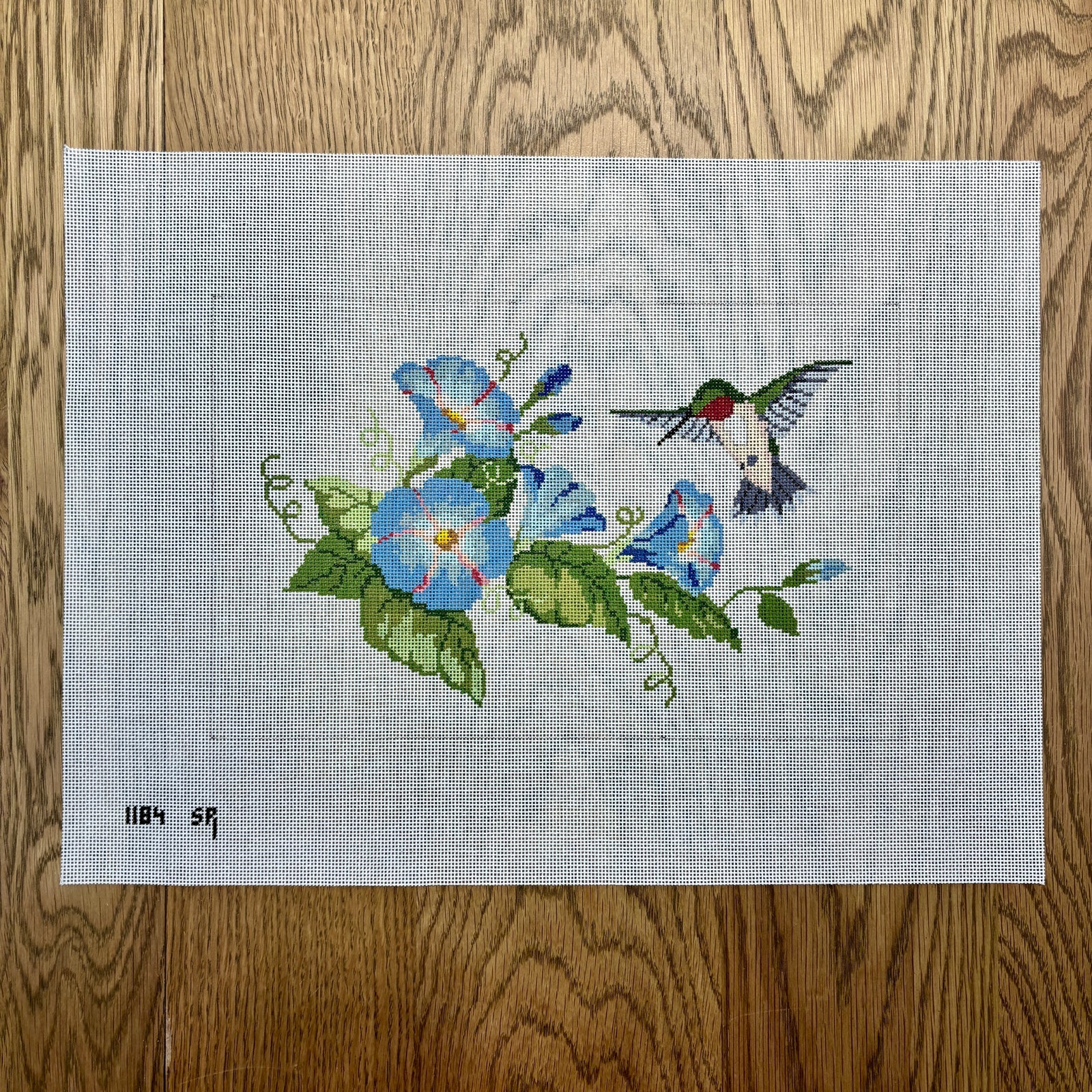 Morning Glories Hummingbird Canvas