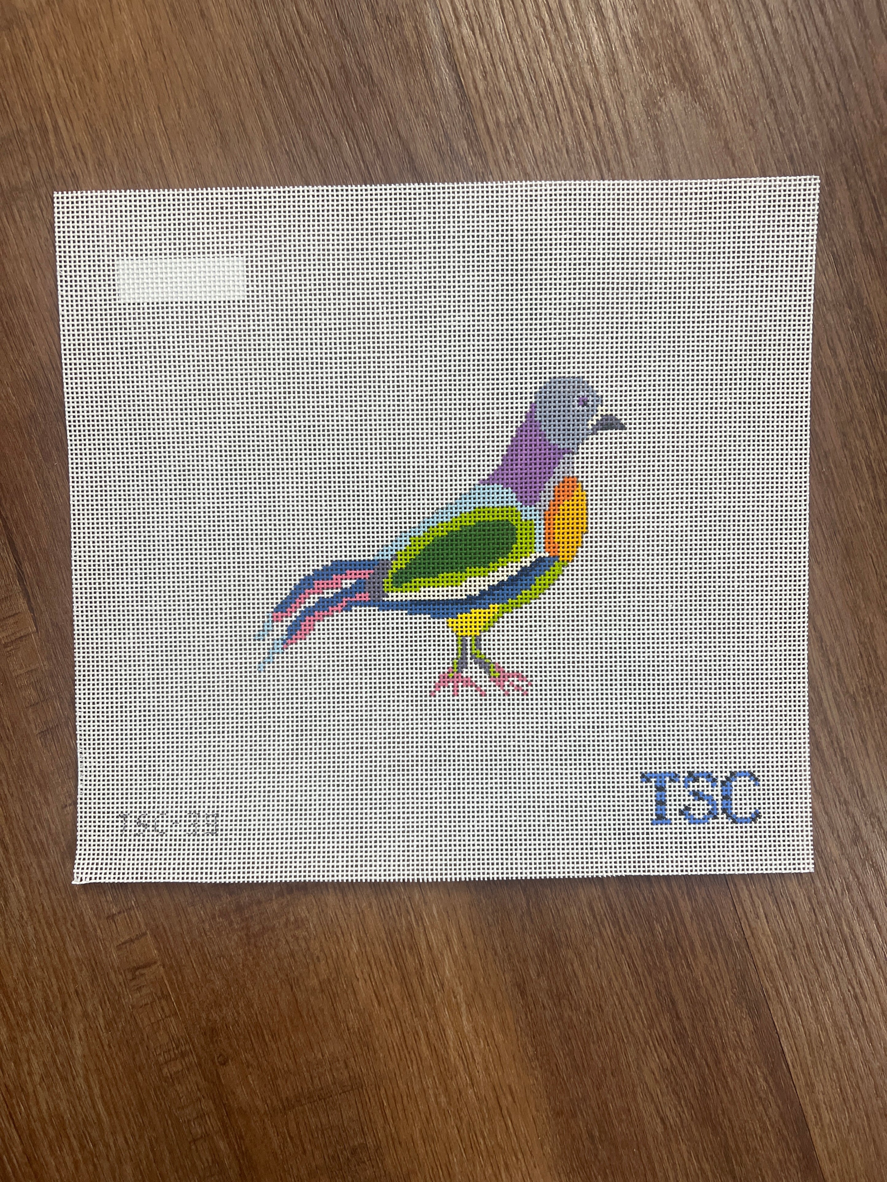 Fancy Pigeon Canvas