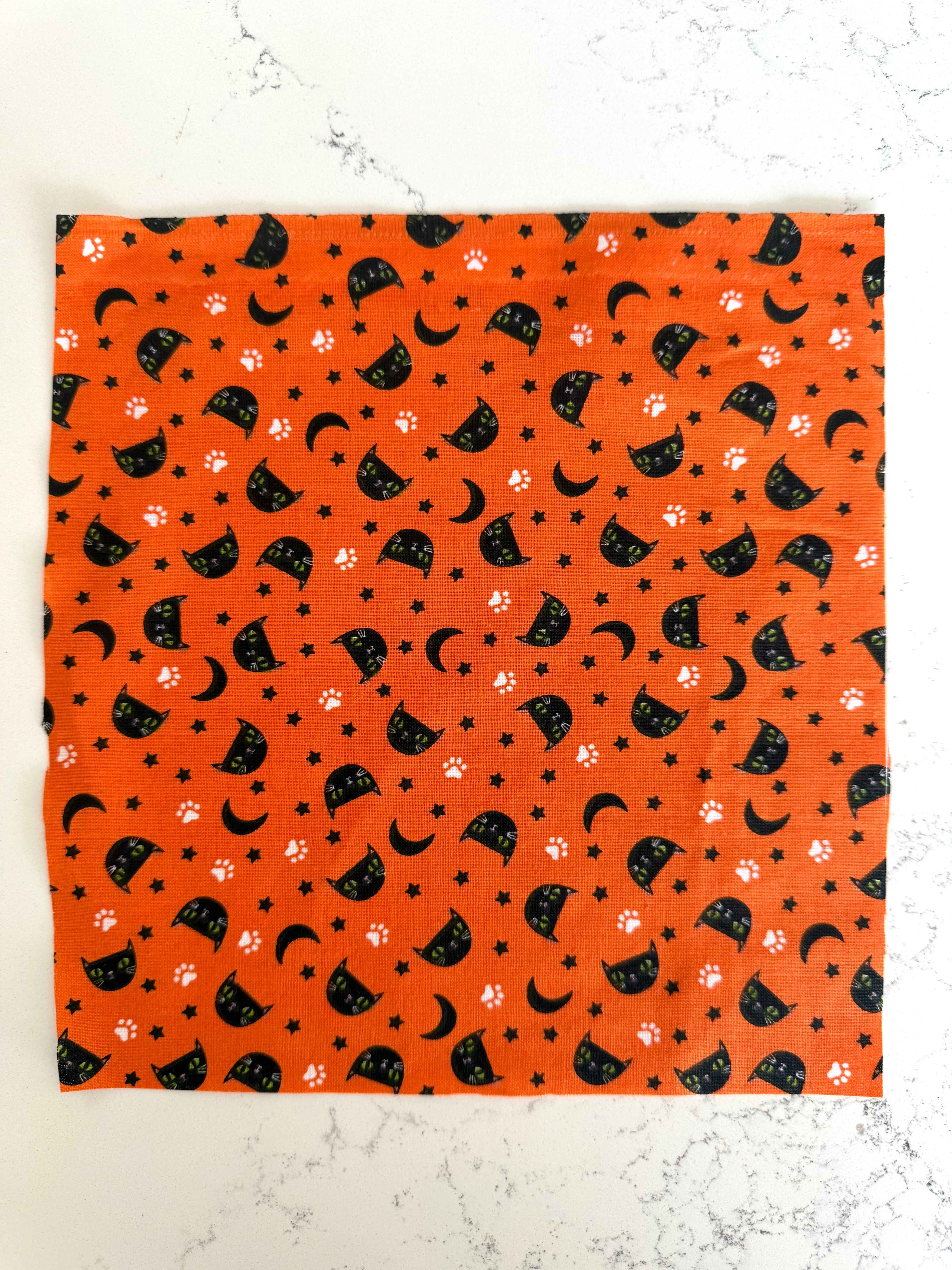 Orange Moon + Black Cat Print 8x8 Fabric Square