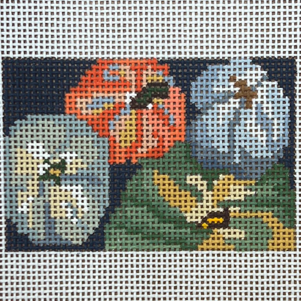 Tumbling Pumpkin Canvas