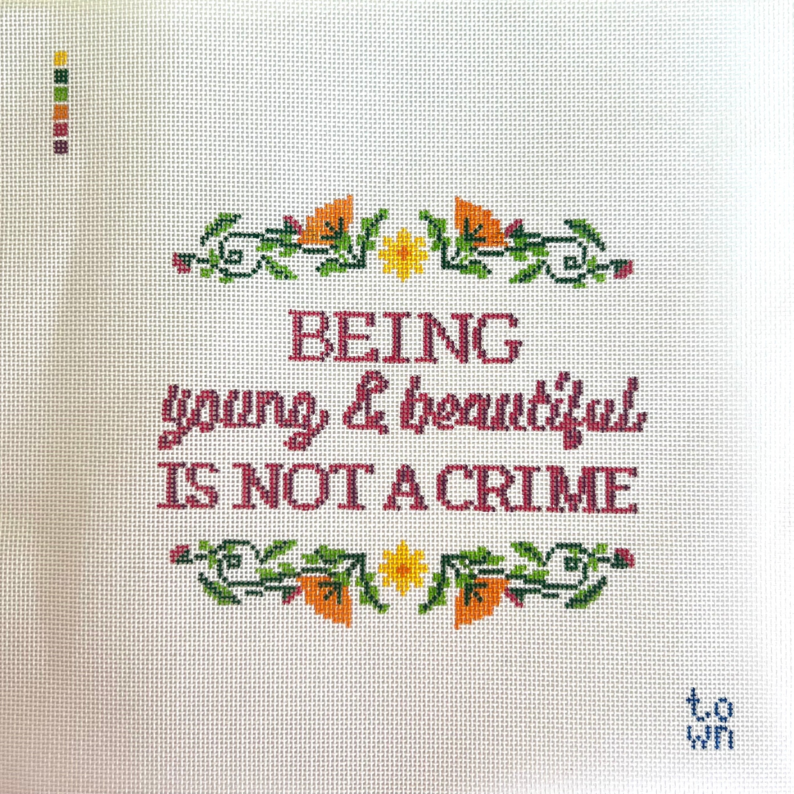 Being Young + Beautiful is Not A Crime Canvas