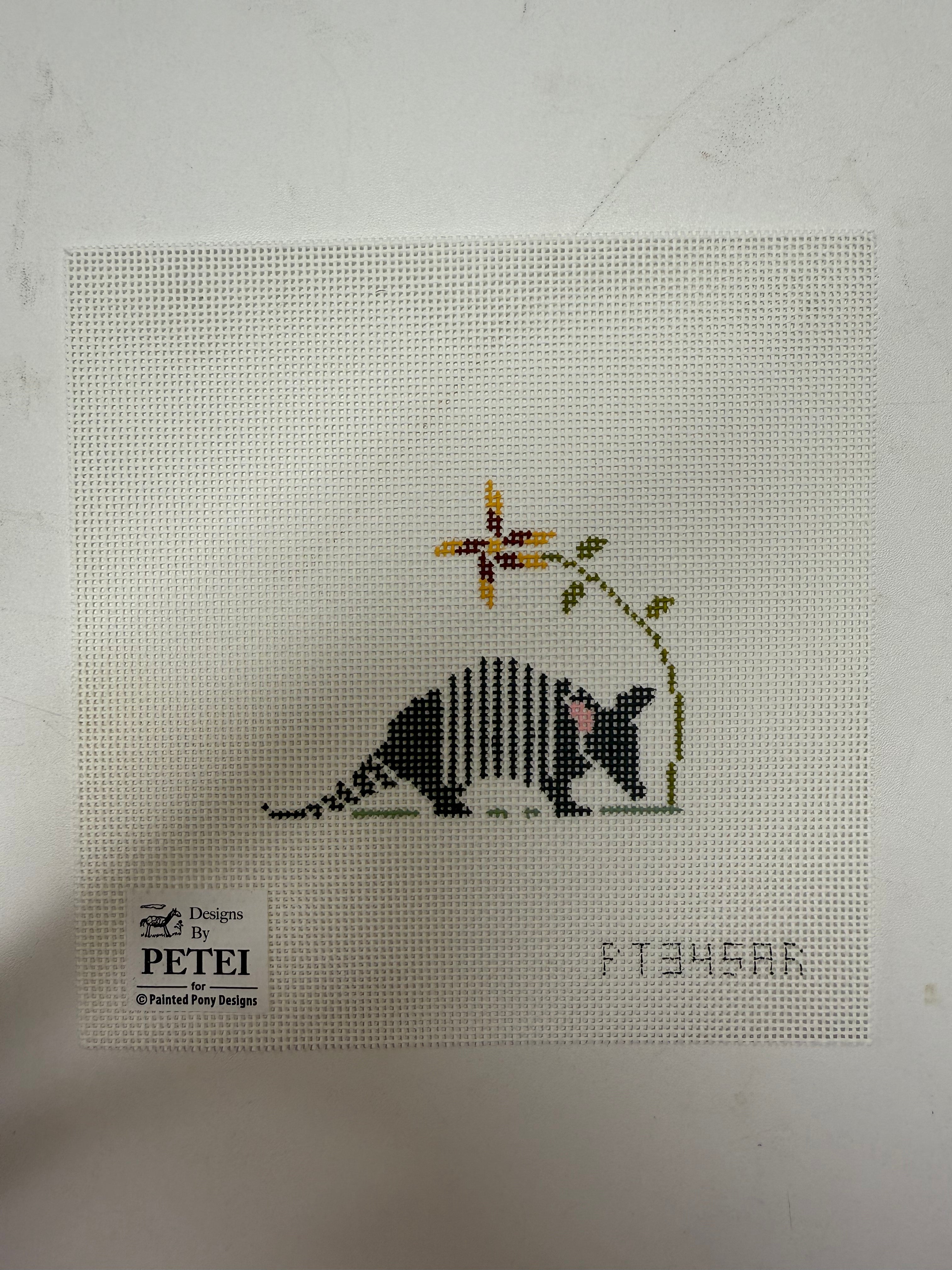 Mini Armadillo w/ Flower Canvas