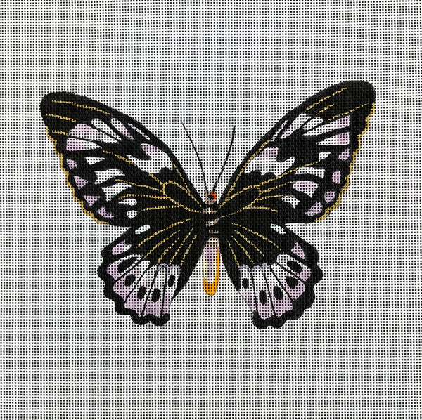 Butterfly Canvas