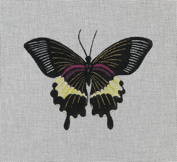 Beautiful Butterfly Canvas