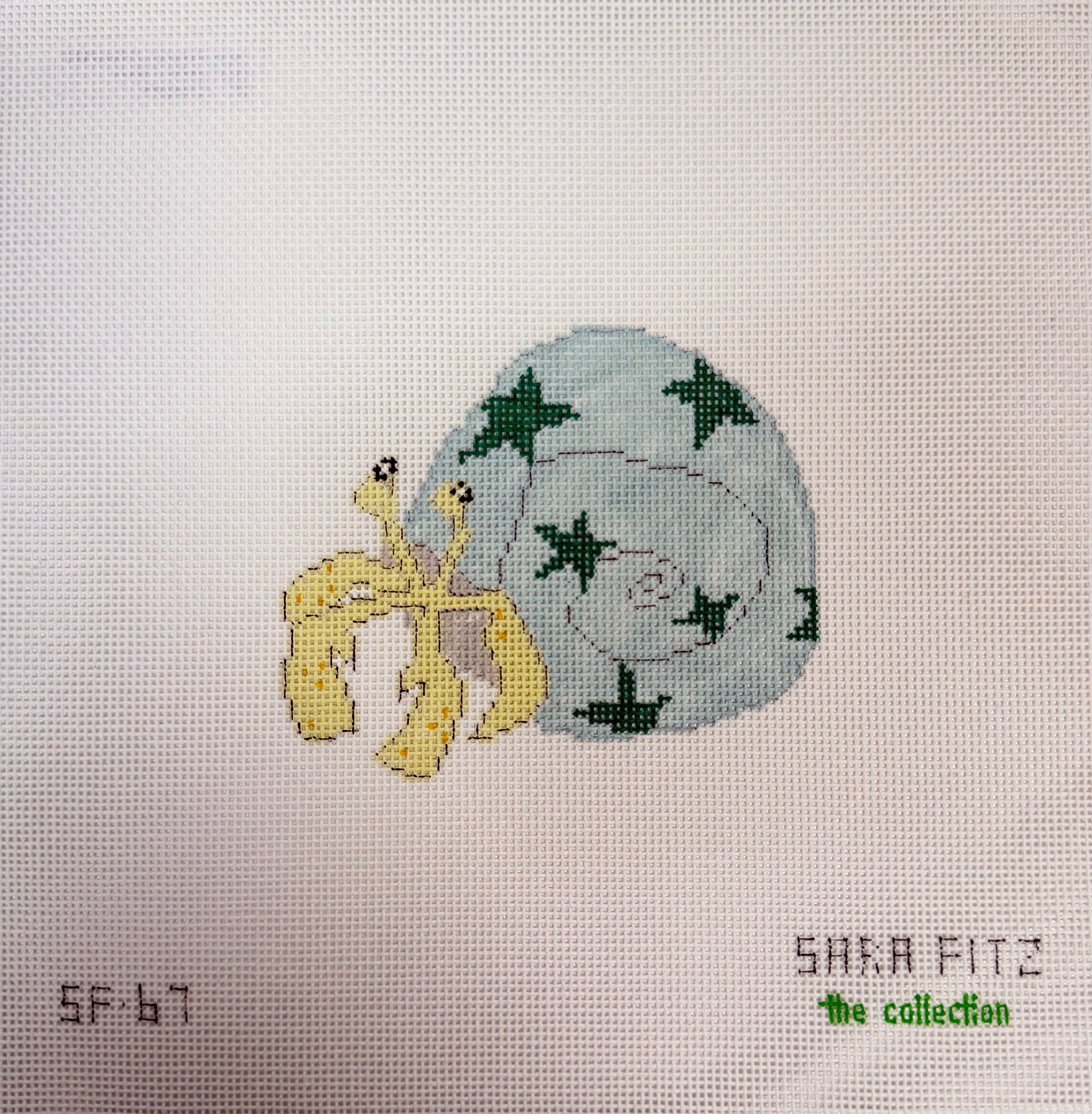 Hermit Crab Stars Canvas