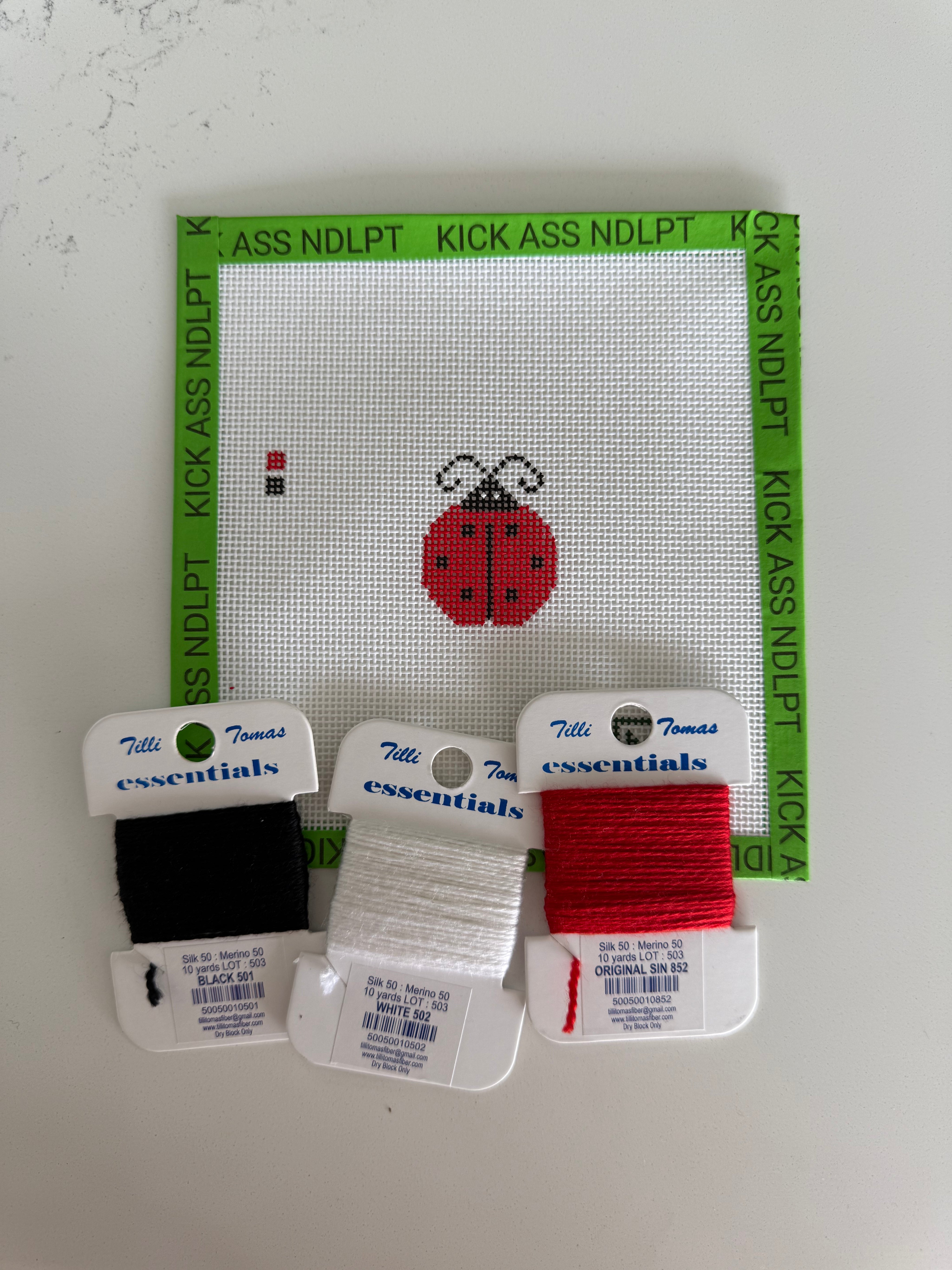 Mini Ladybug Canvas