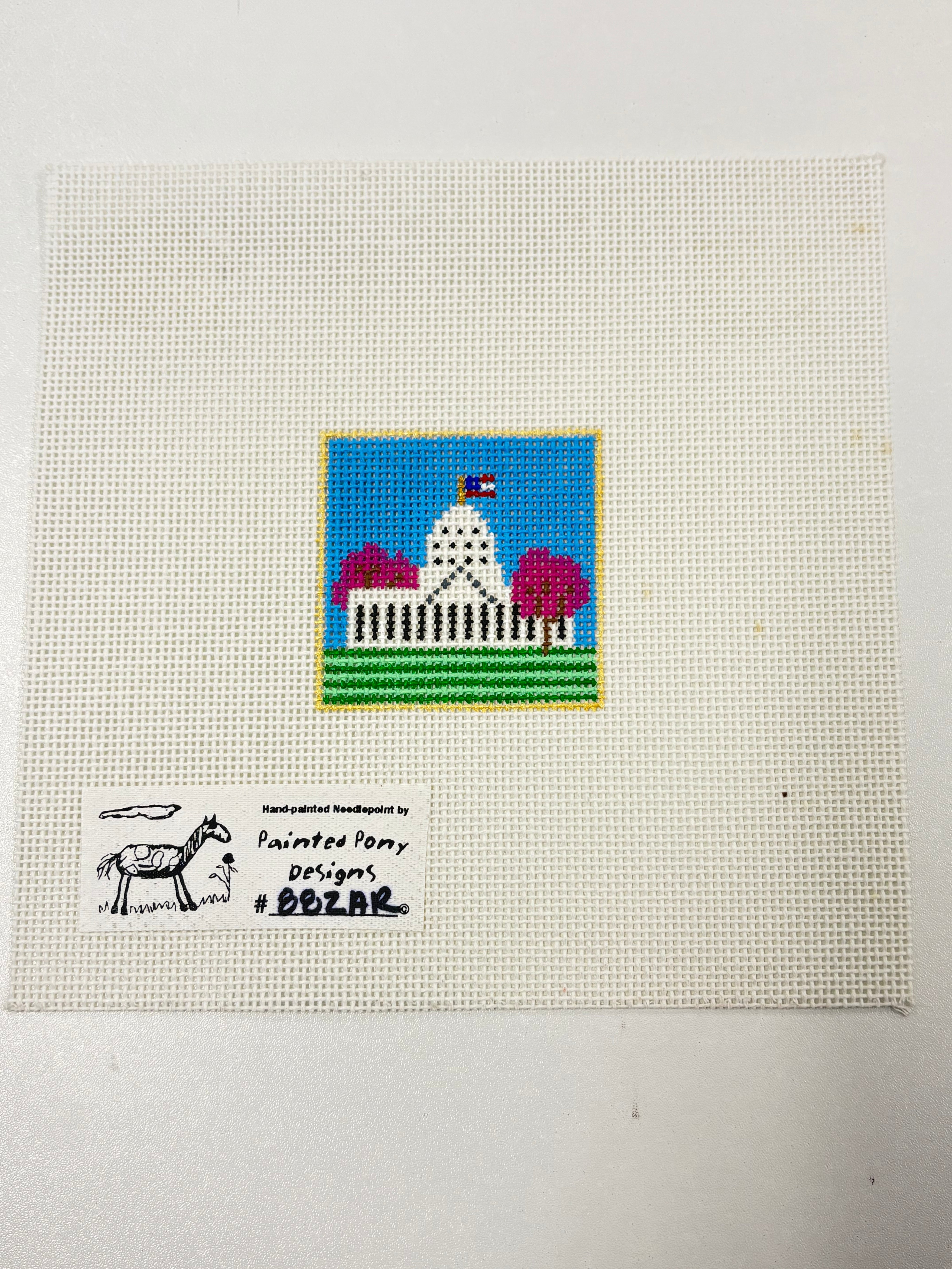 Mini US Capitol Building Canvas