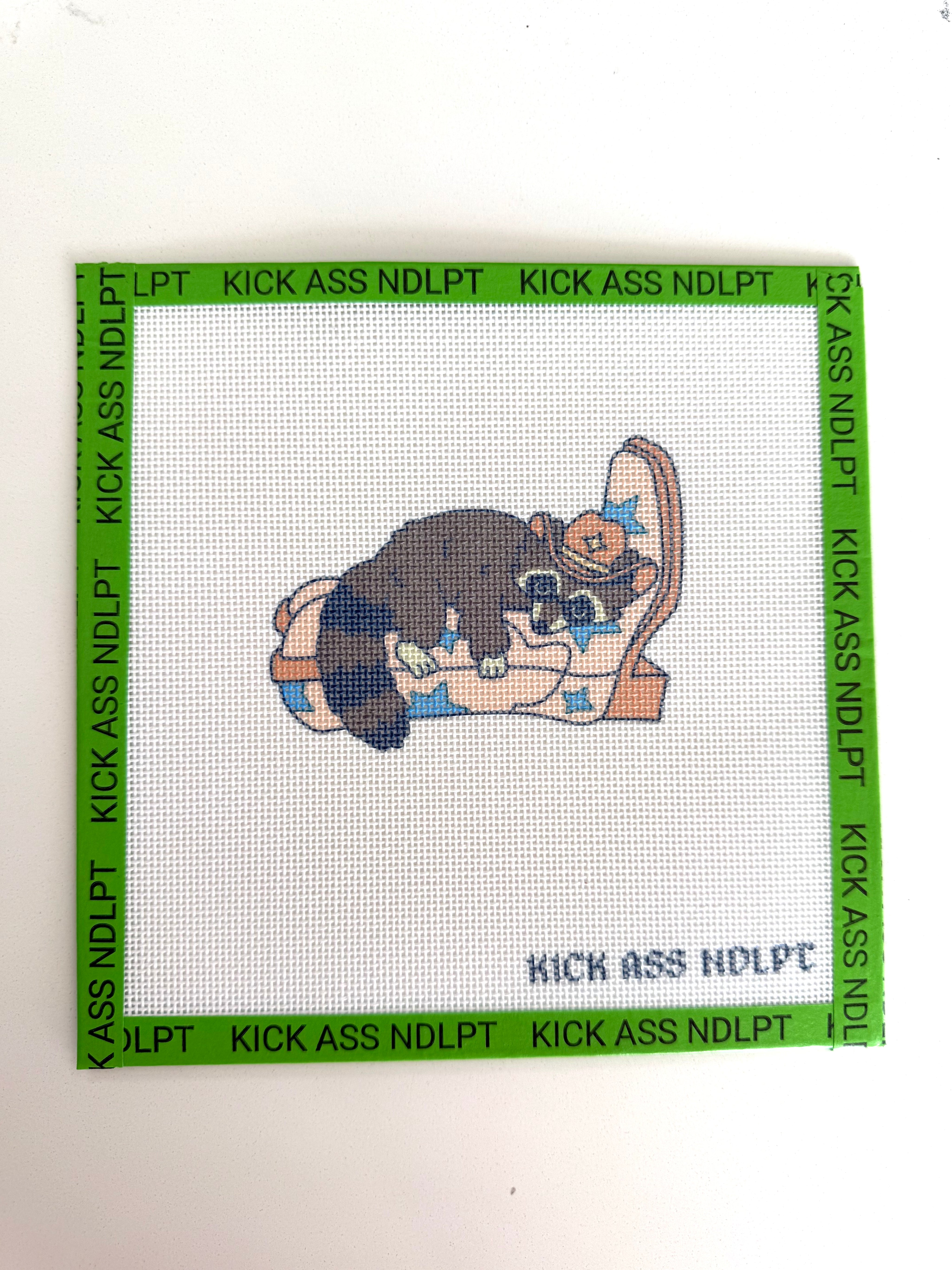 Rico the Raccoon Canvas