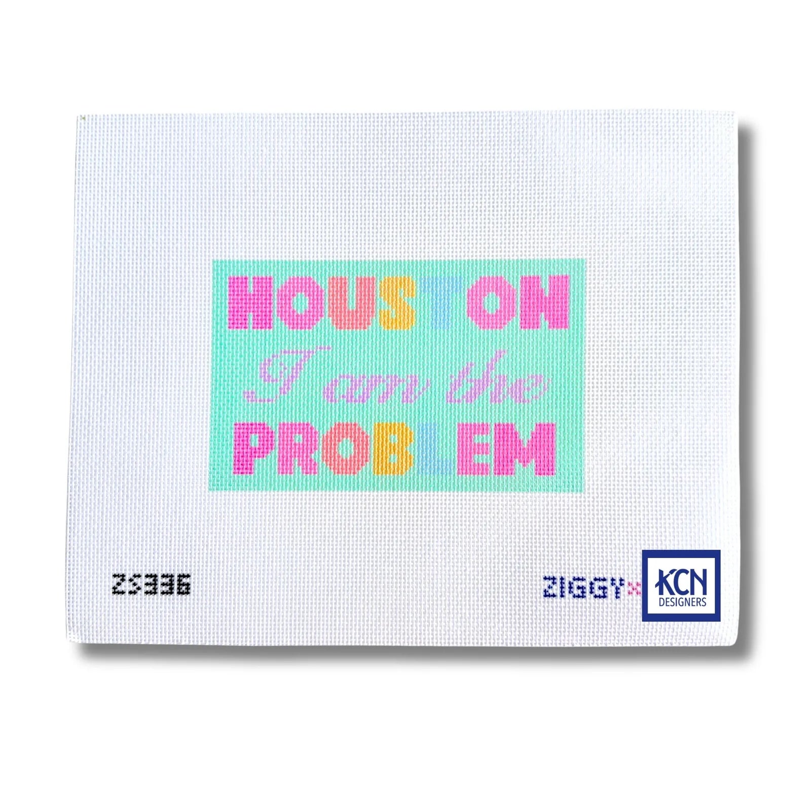 Houston I Am the Problem Canvas