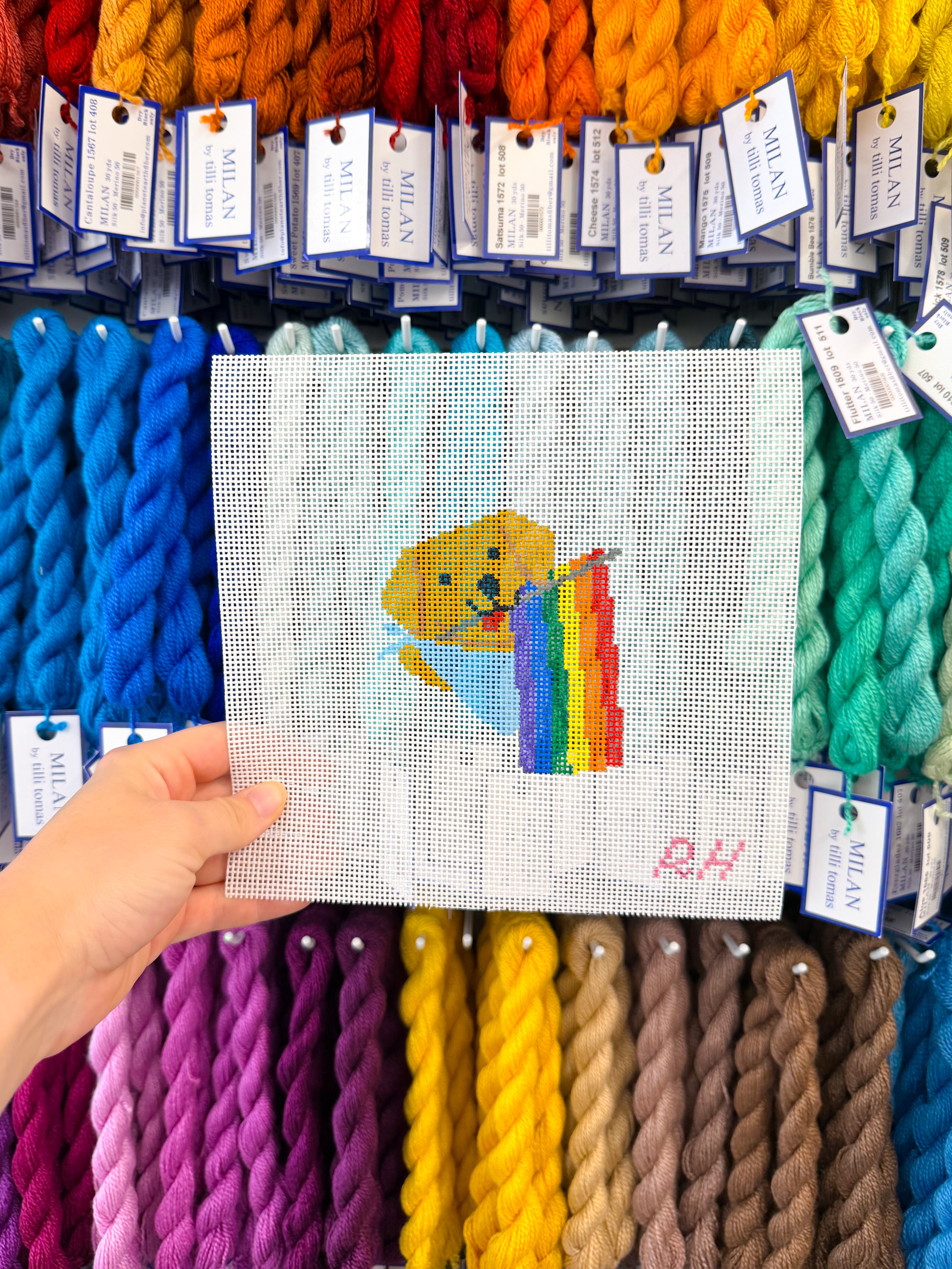 Pride Dog 18 Mesh Canvas