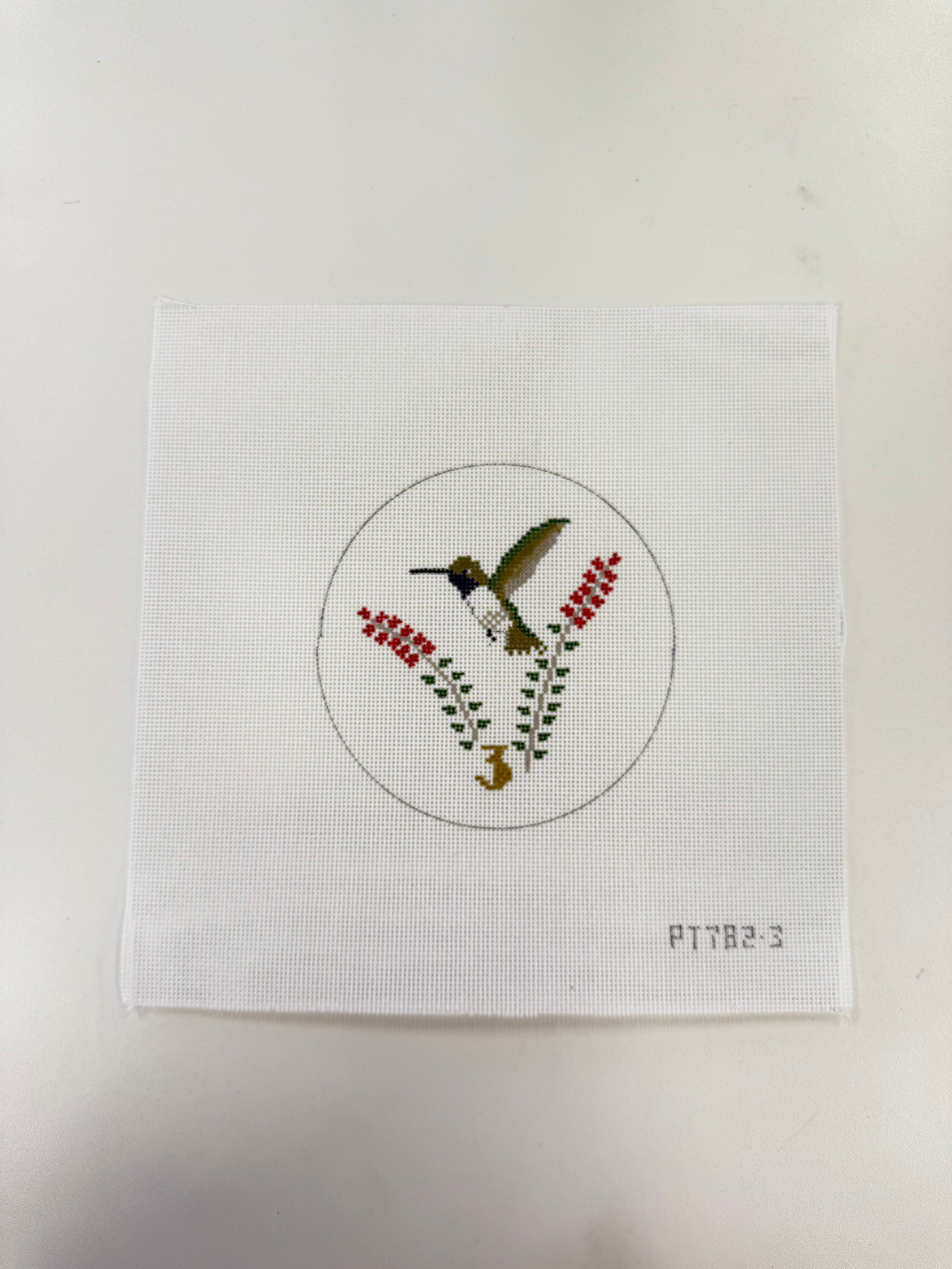 Humming Bird Canvas