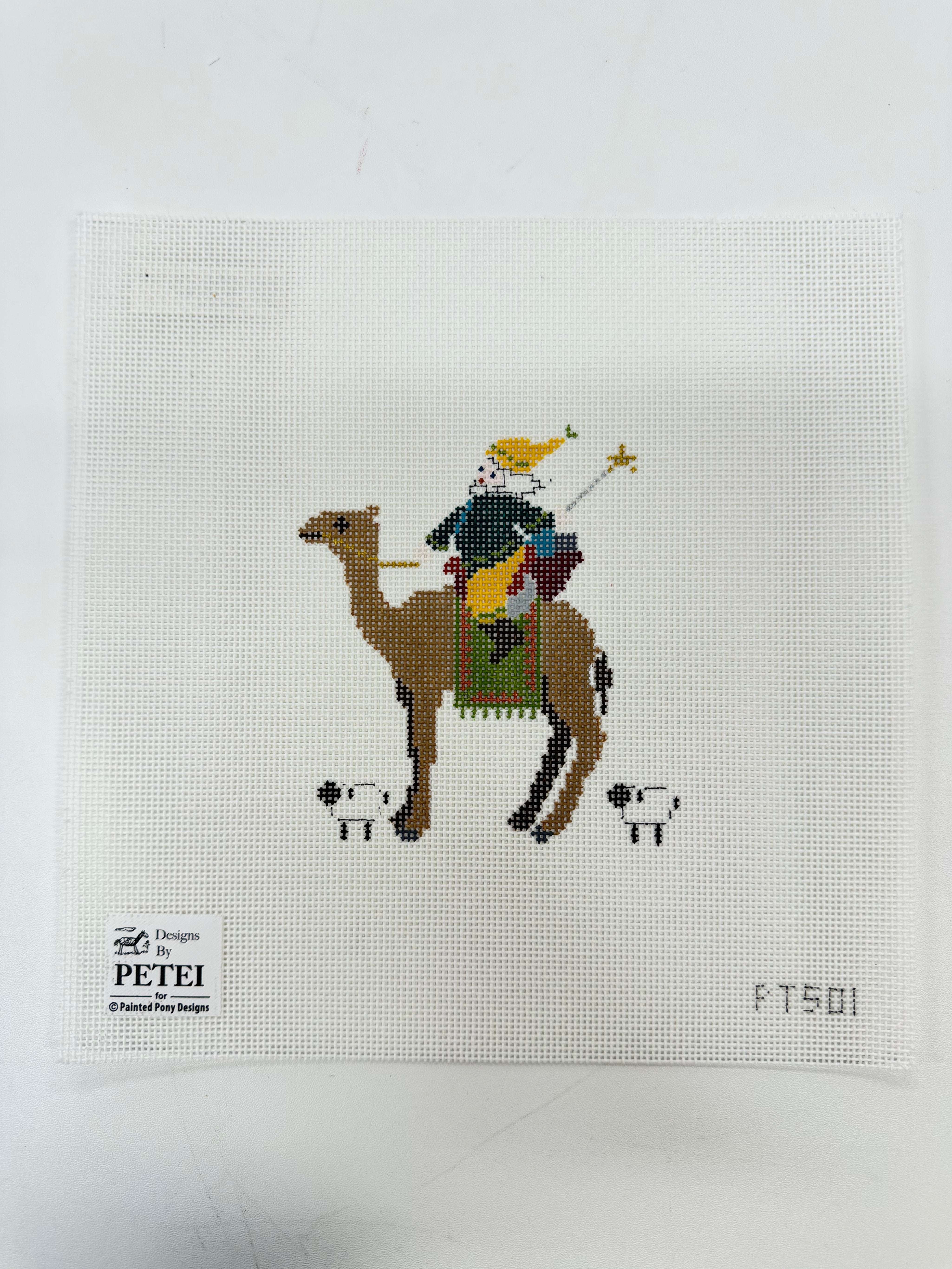 Man on Camel Canvas