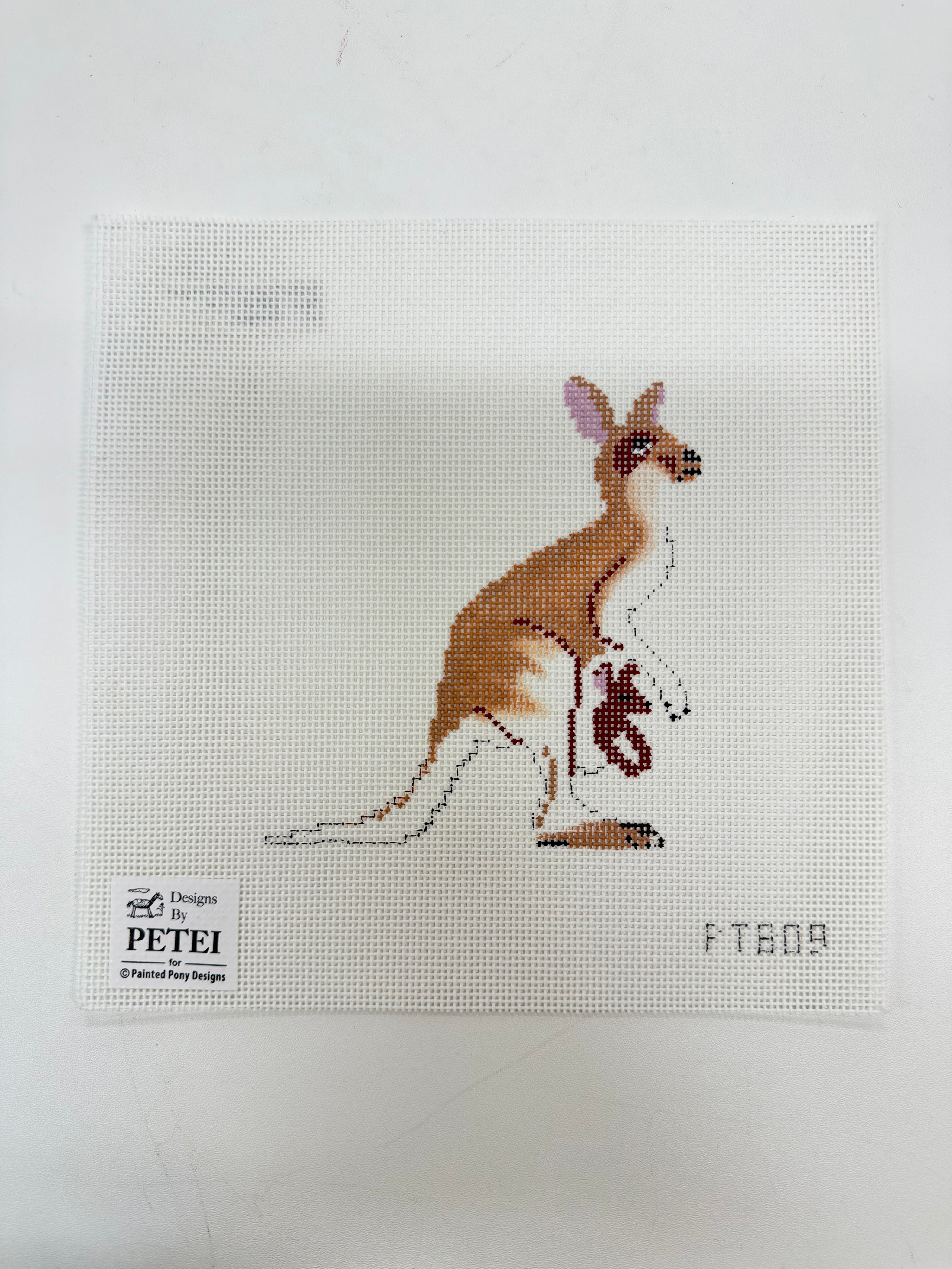 Kangaroo with Baby Canvas
