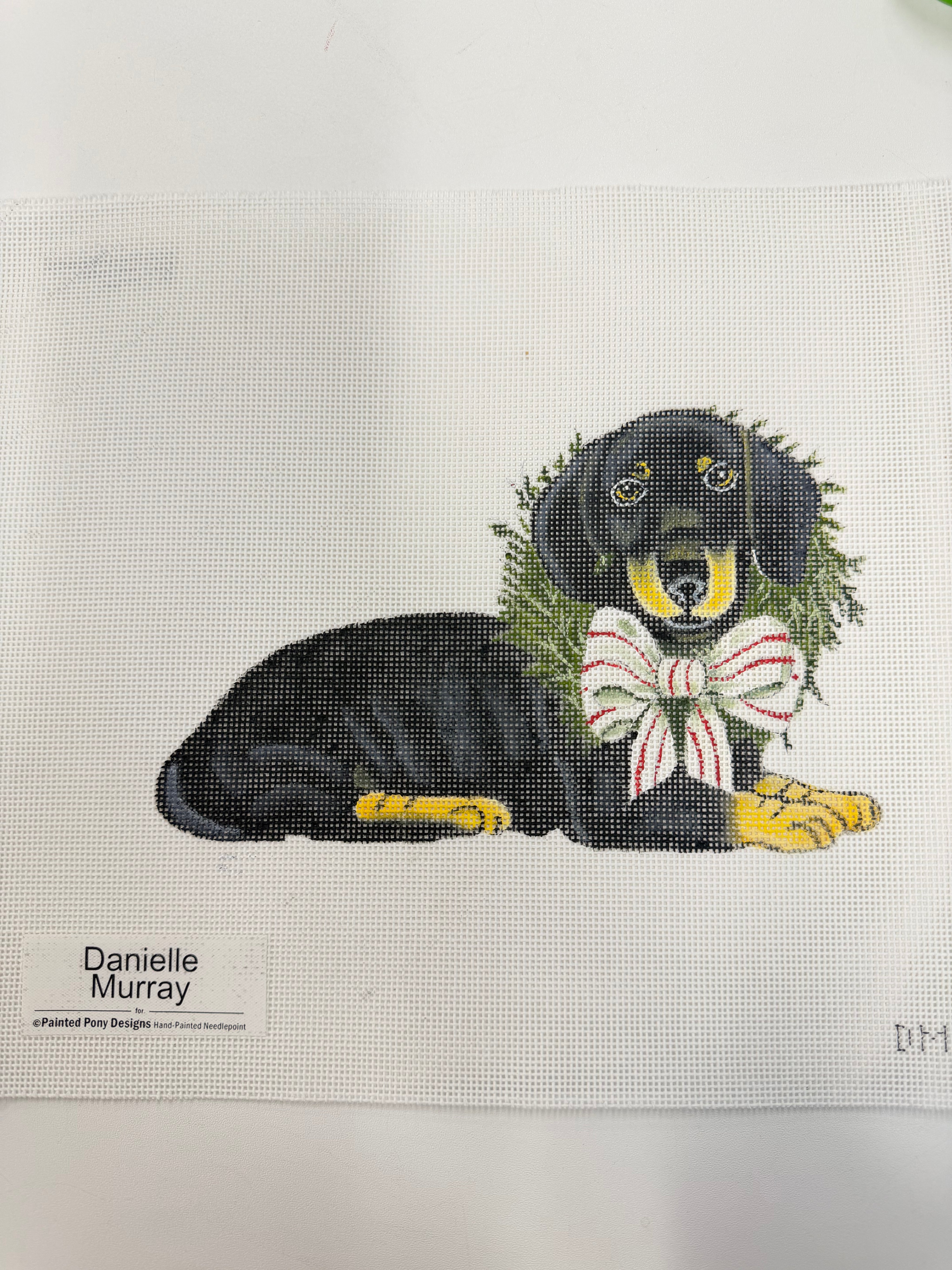 Black Dachshund Dog Canvas