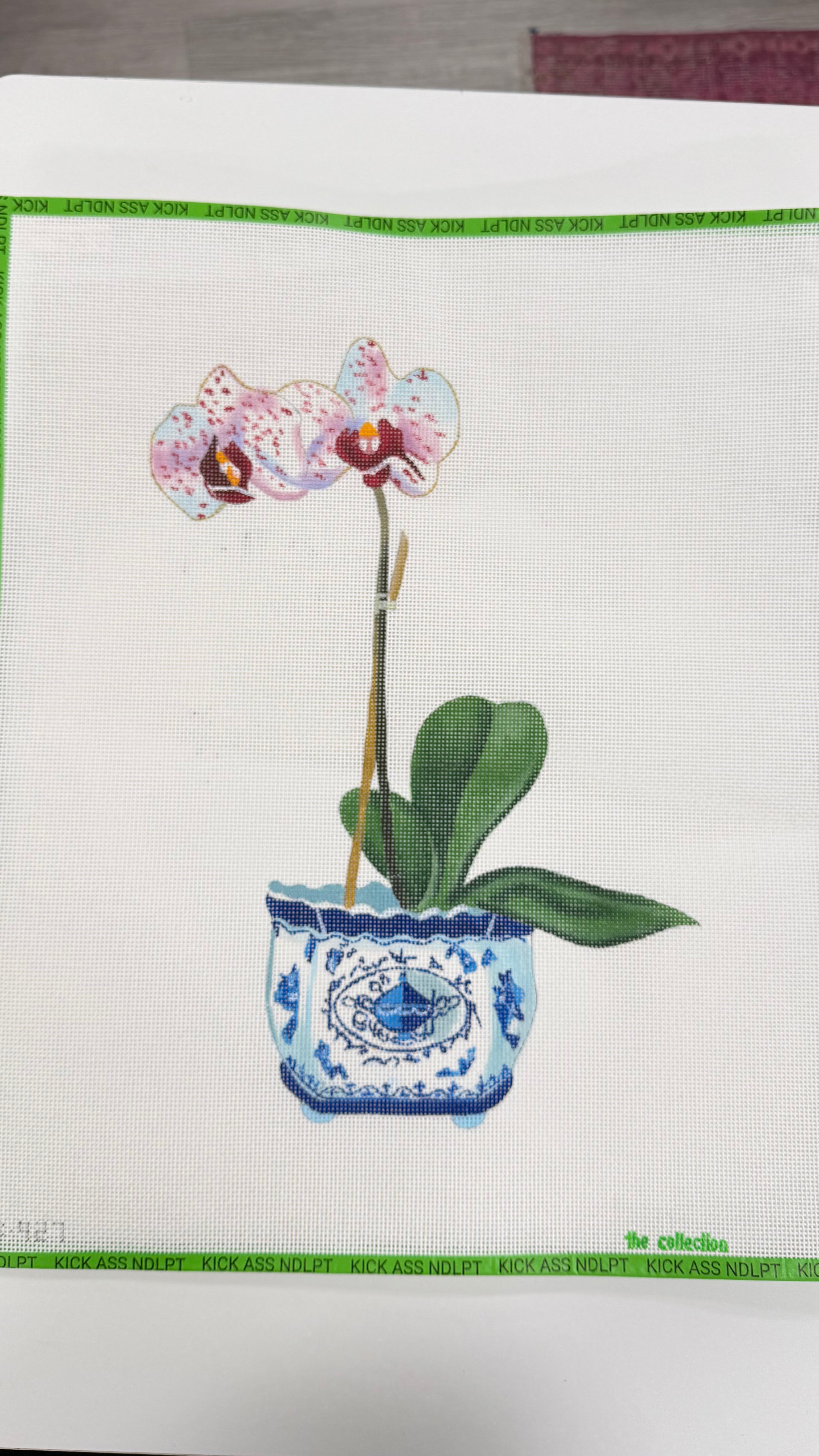 Orchid Flower Blue China Canvas