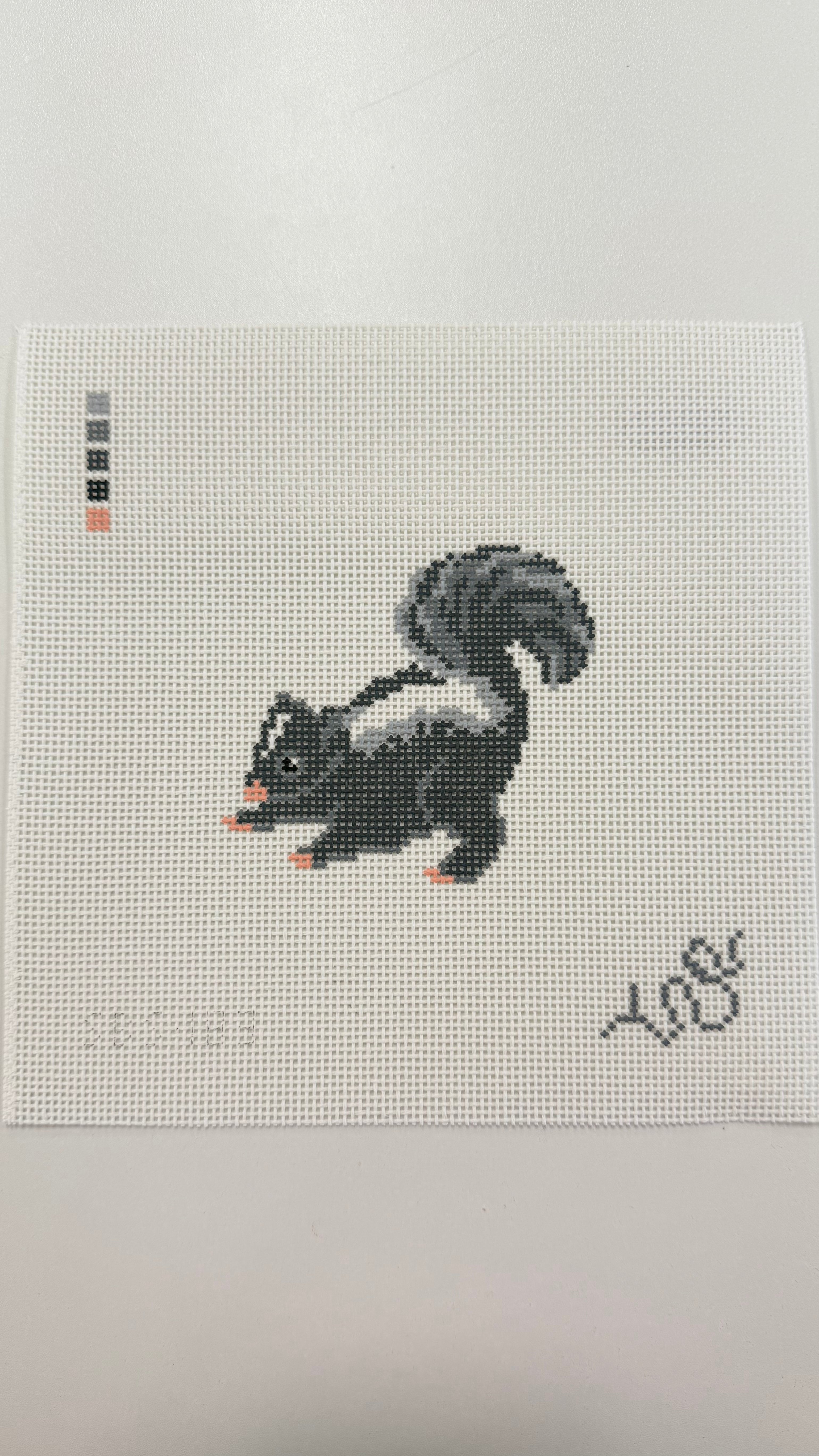 Baby Skunk Canvas