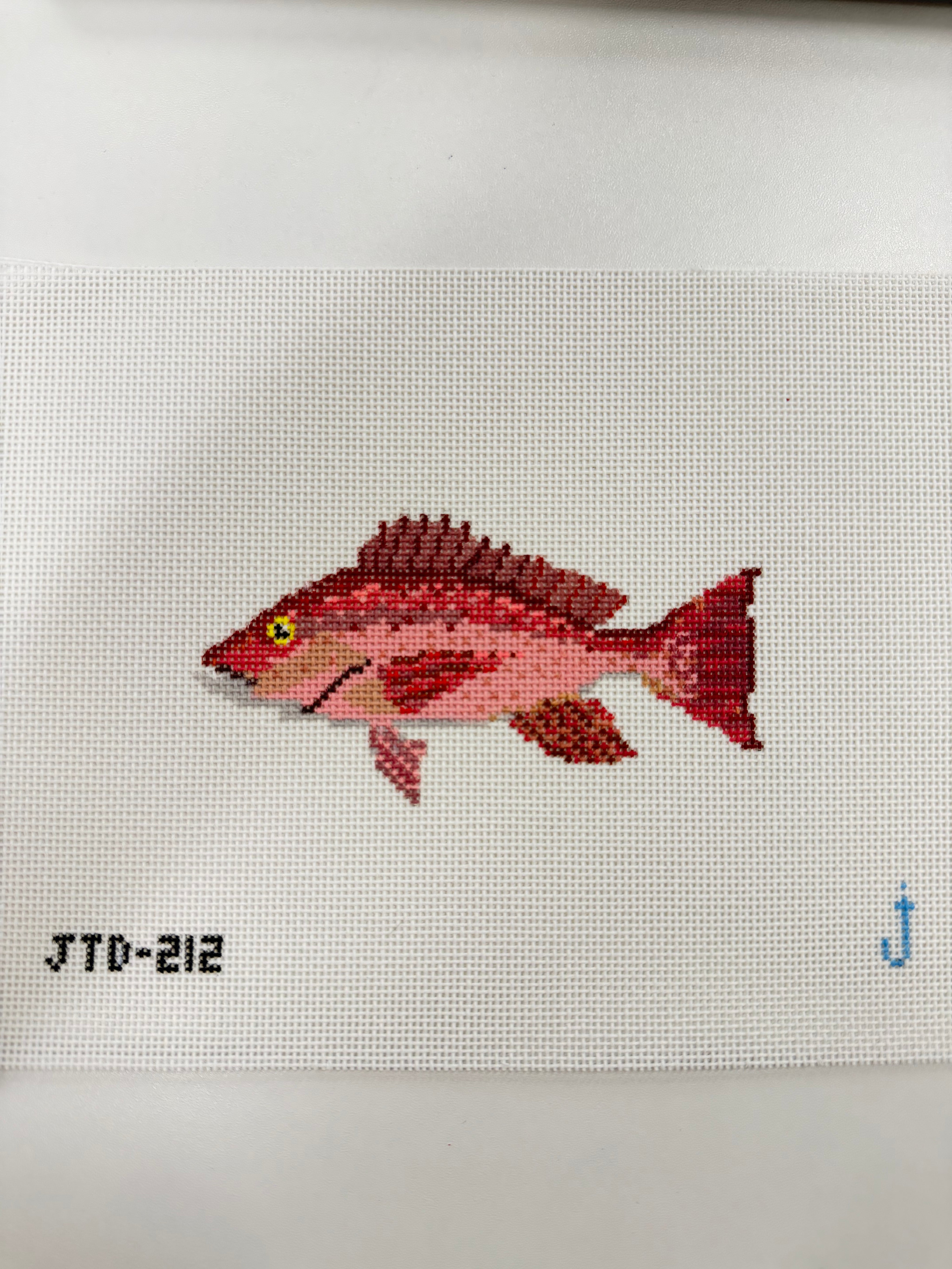 Red Snapper Fish Canvas