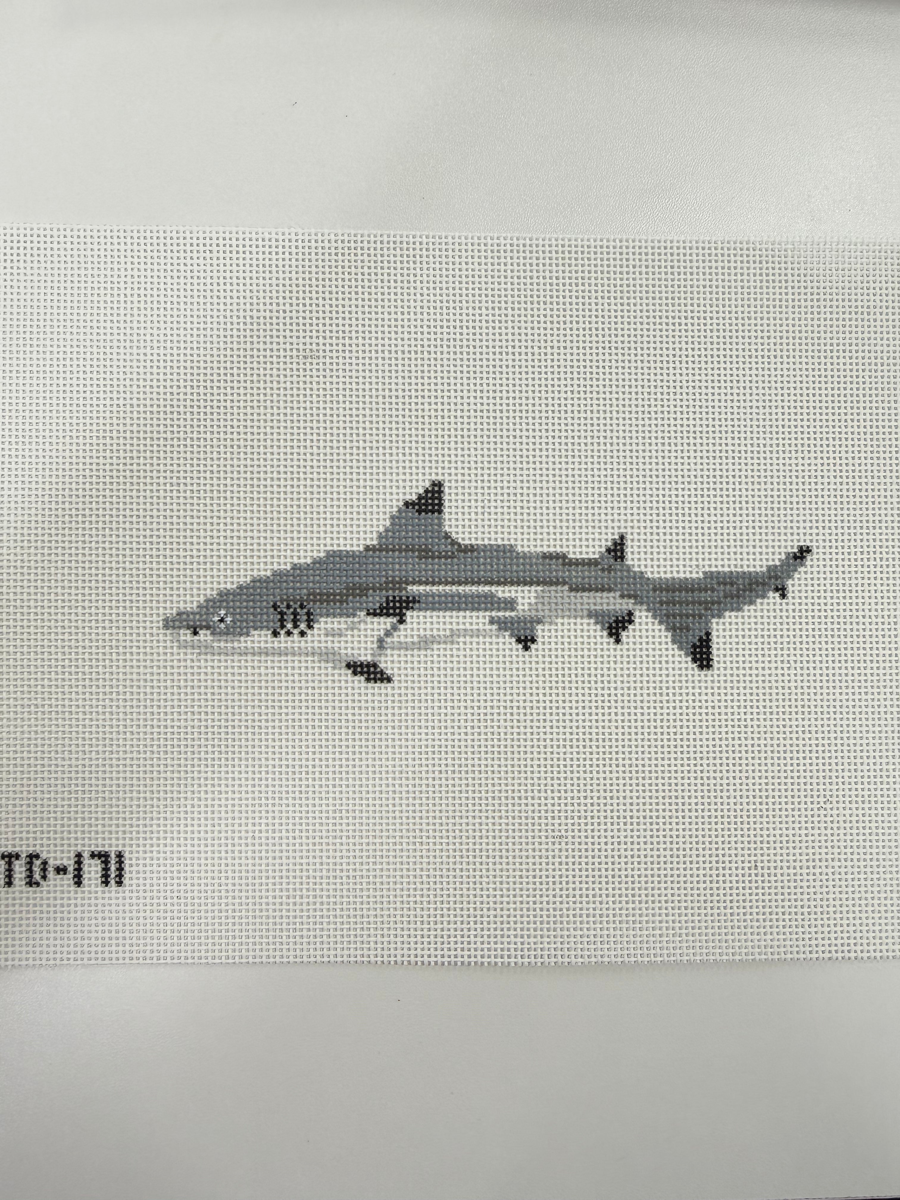 Shark Canvas