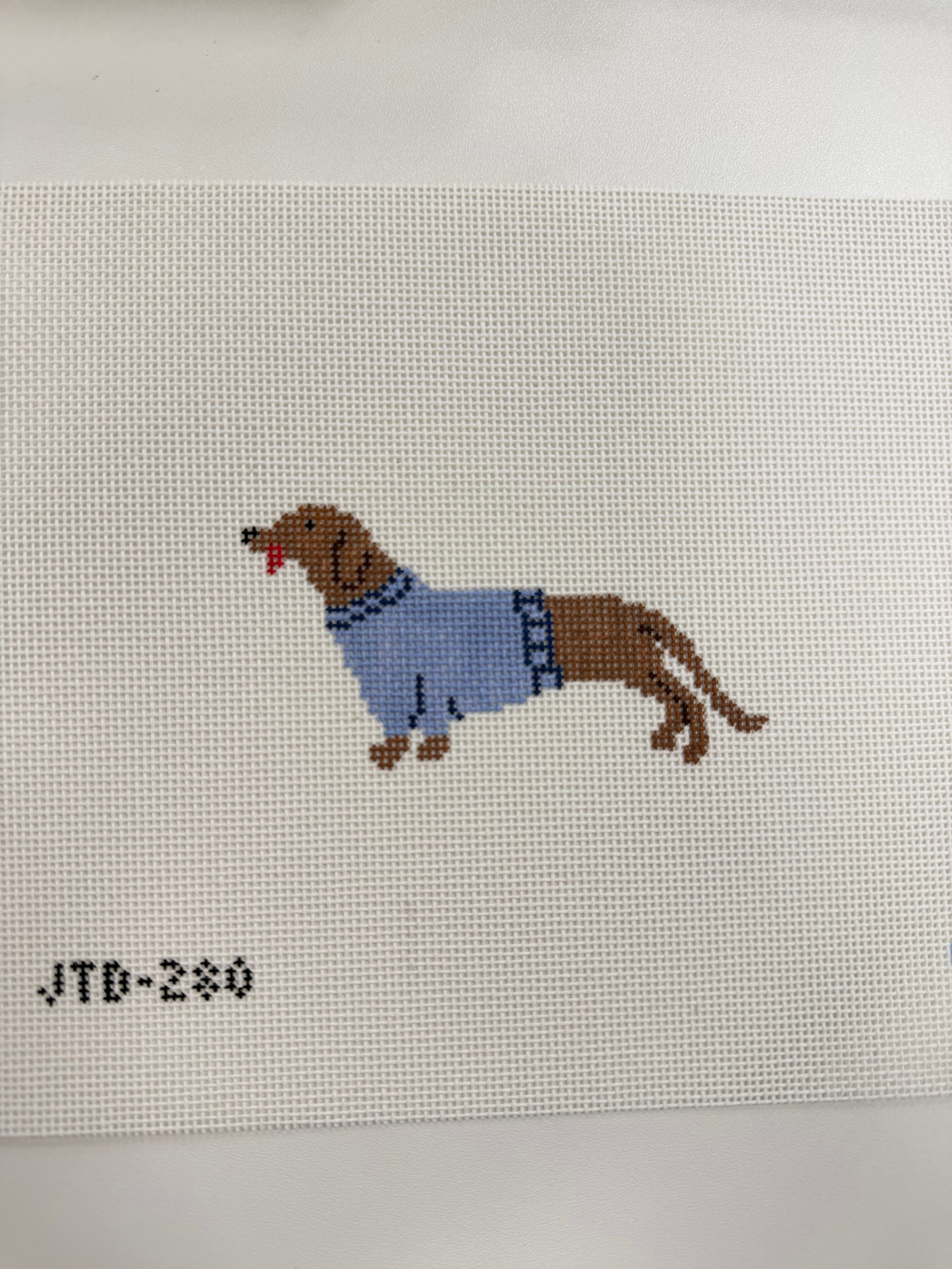 Dachshund with Blue Sweater Canvas