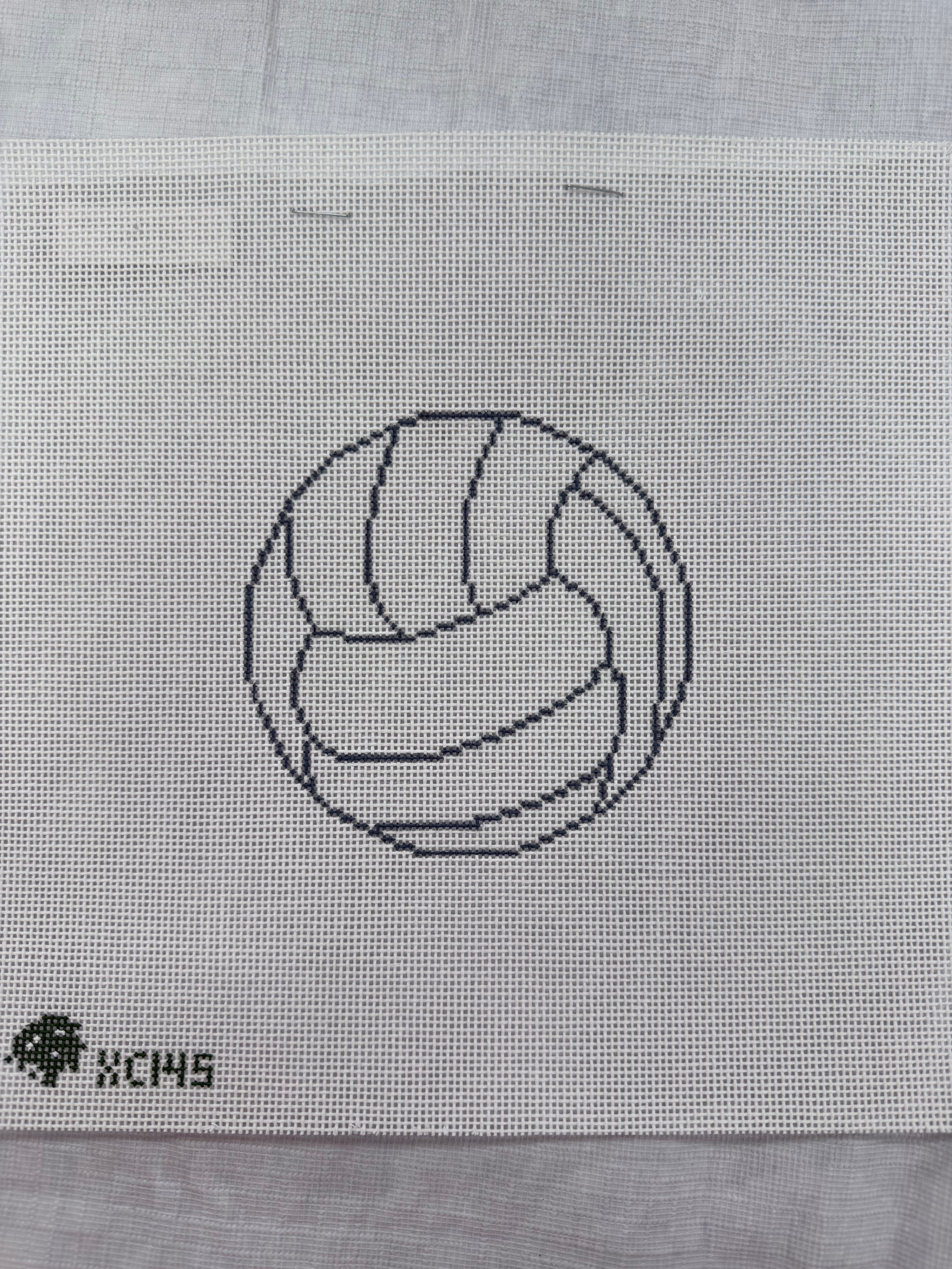 Volleyball Canvas