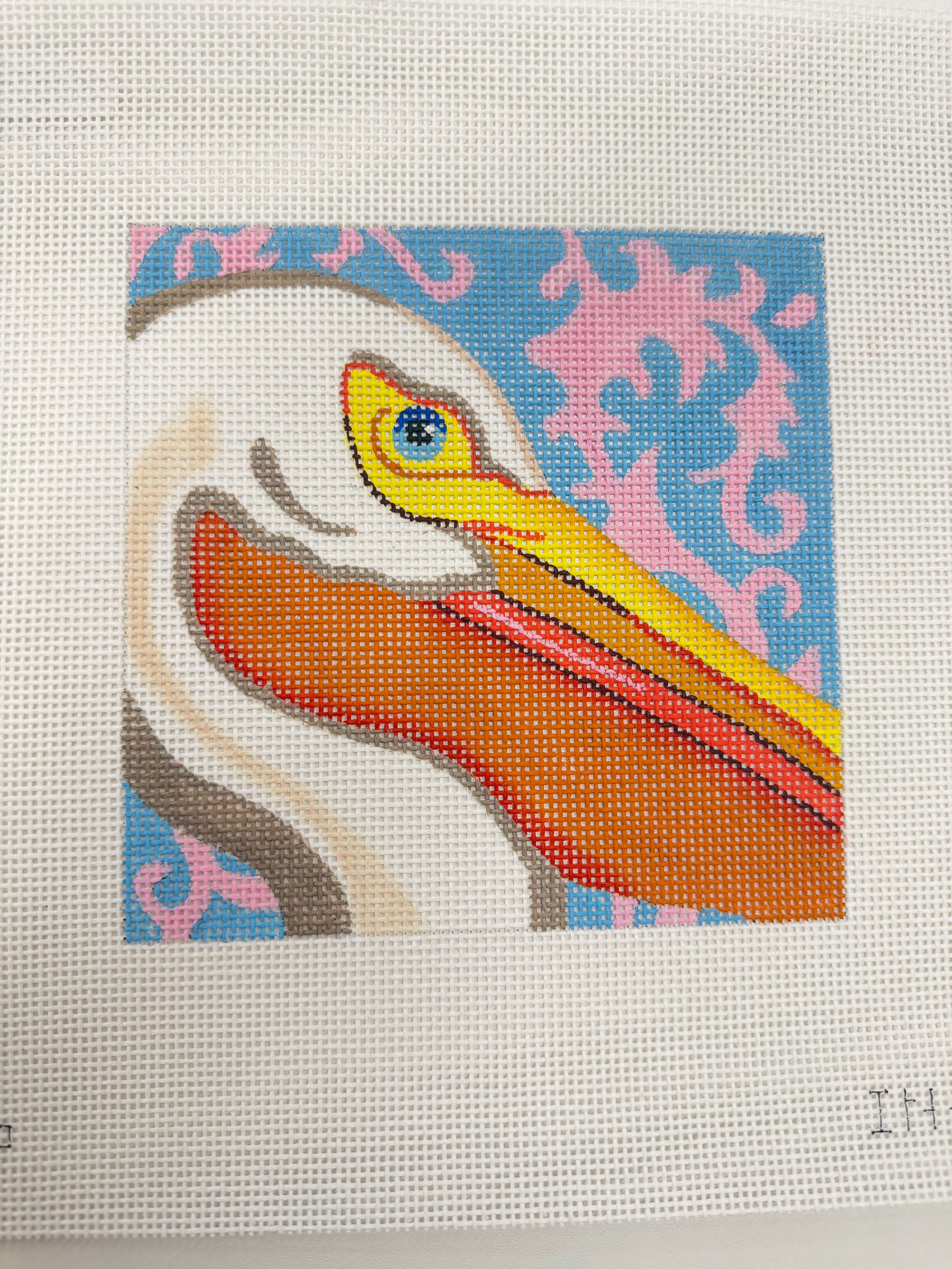 Pelican Canvas