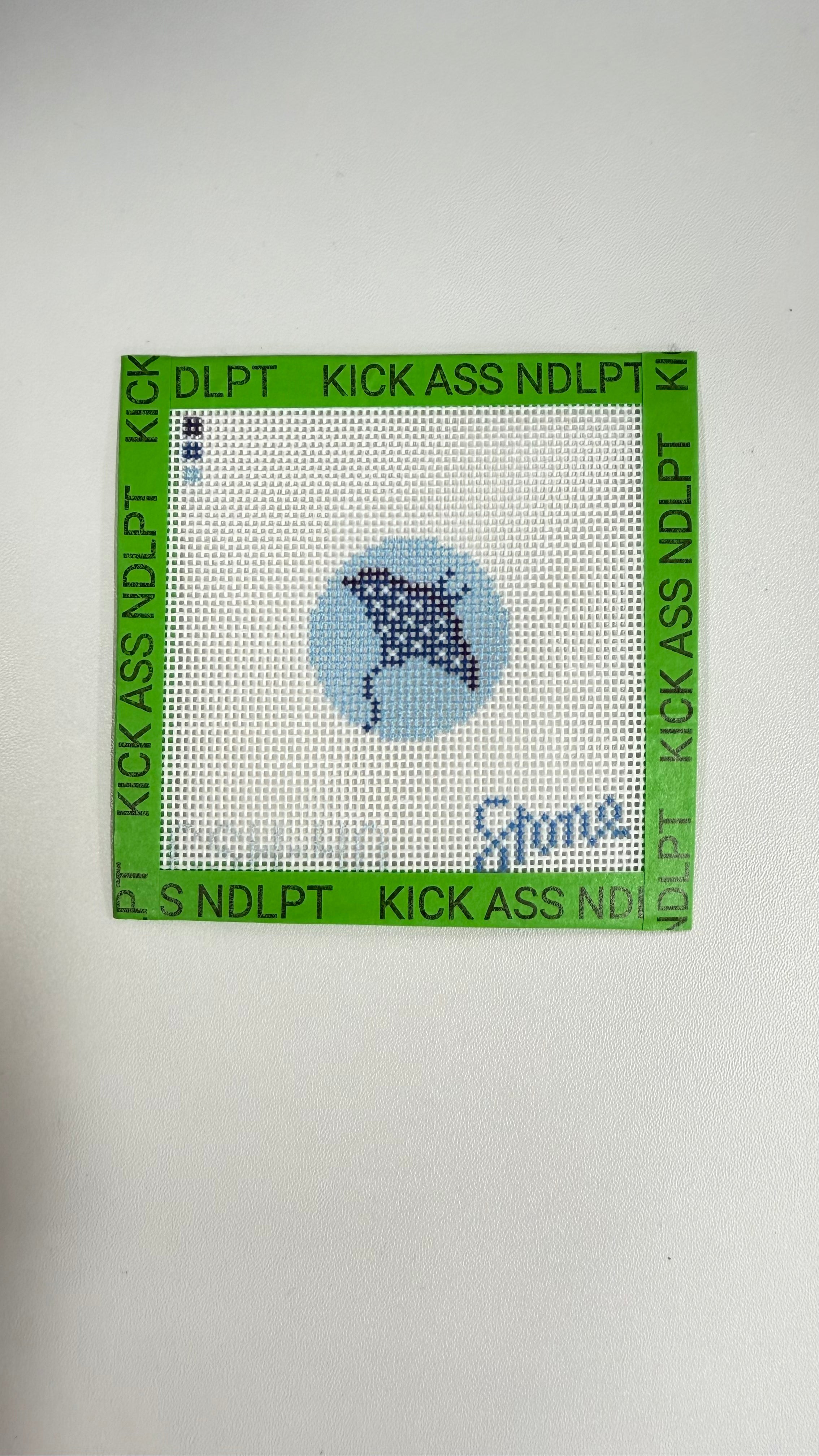 Stingray Mini Canvas