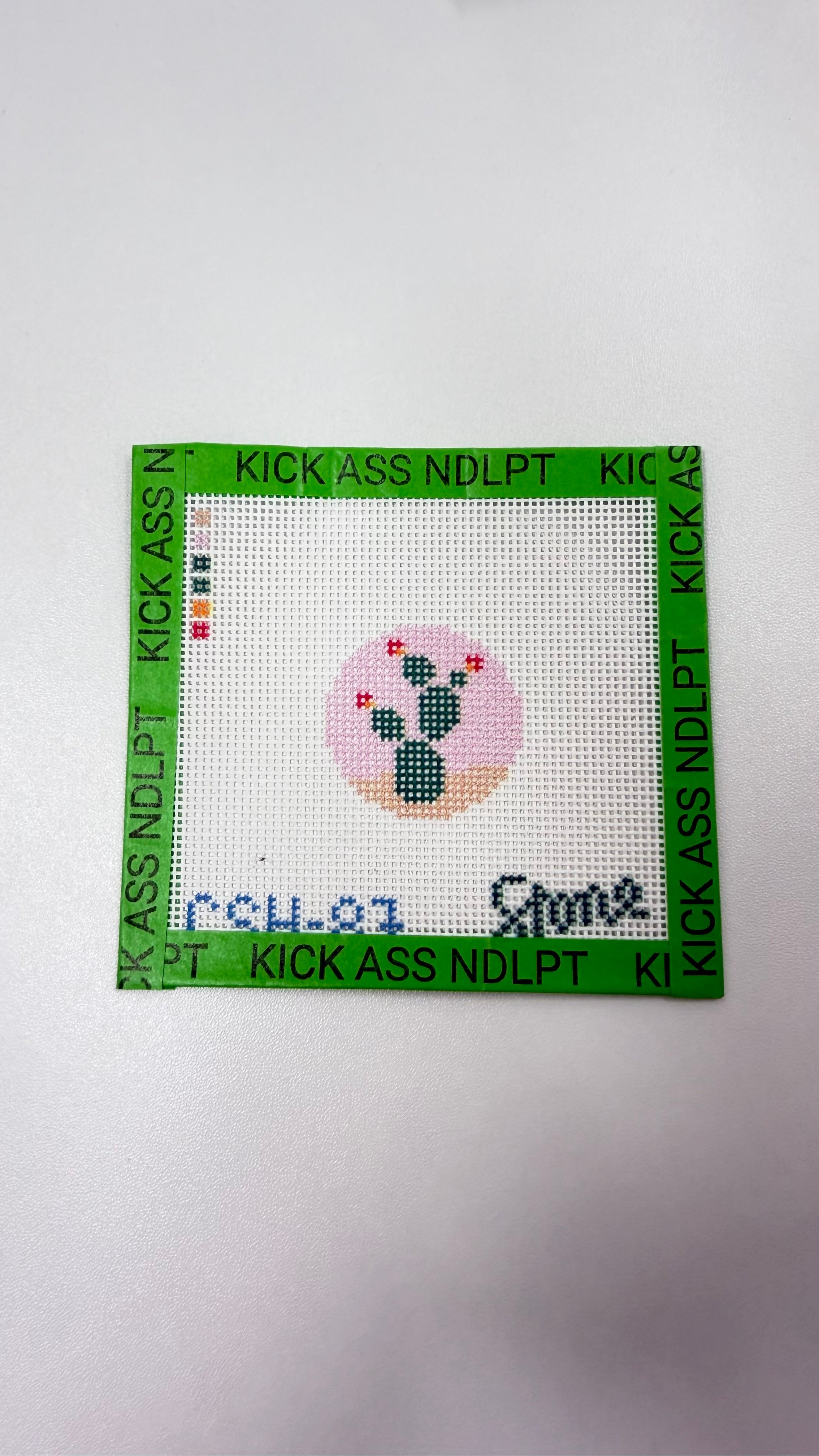 Cactus Mini Canvas