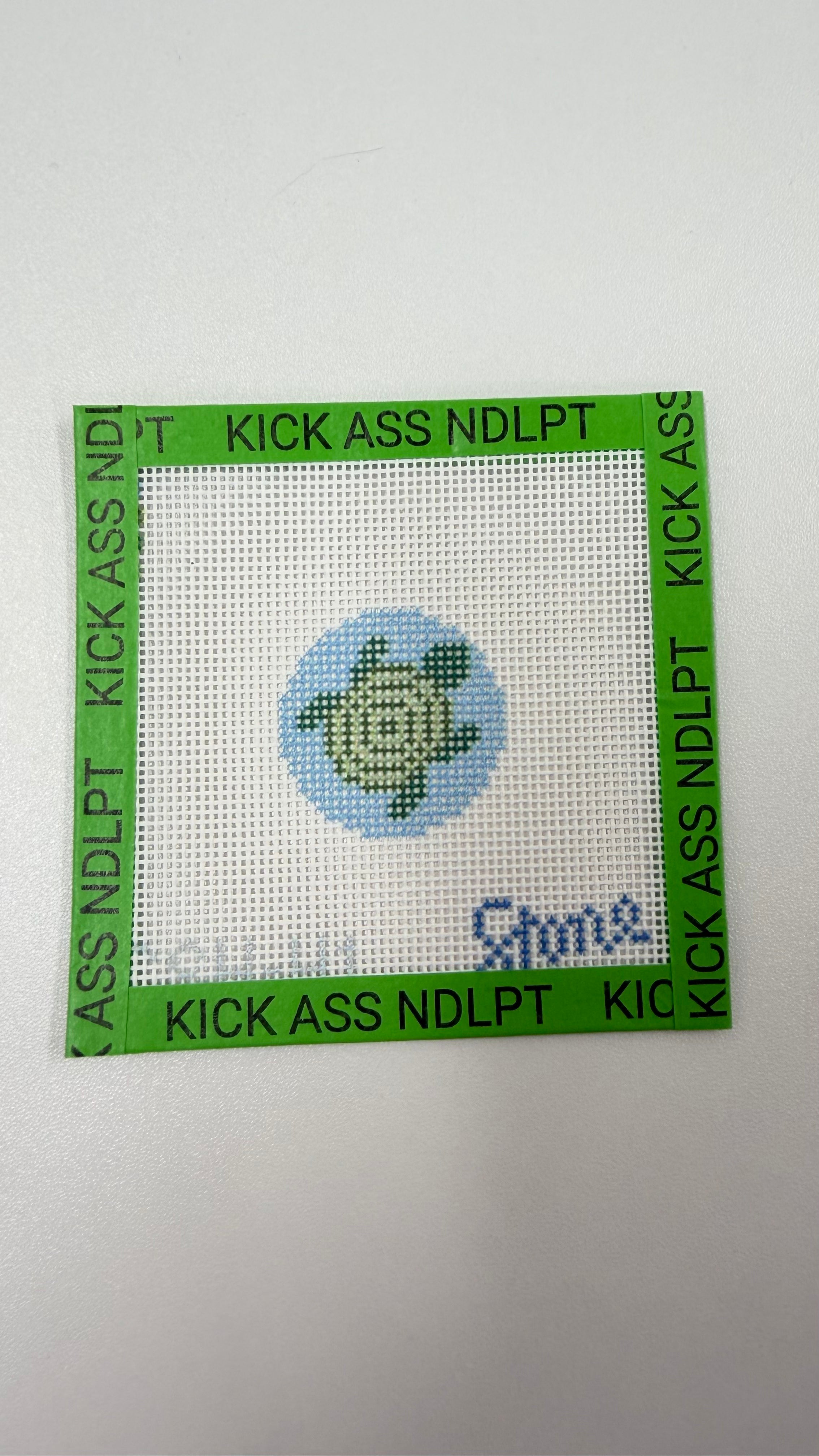 Turtle Mini Canvas