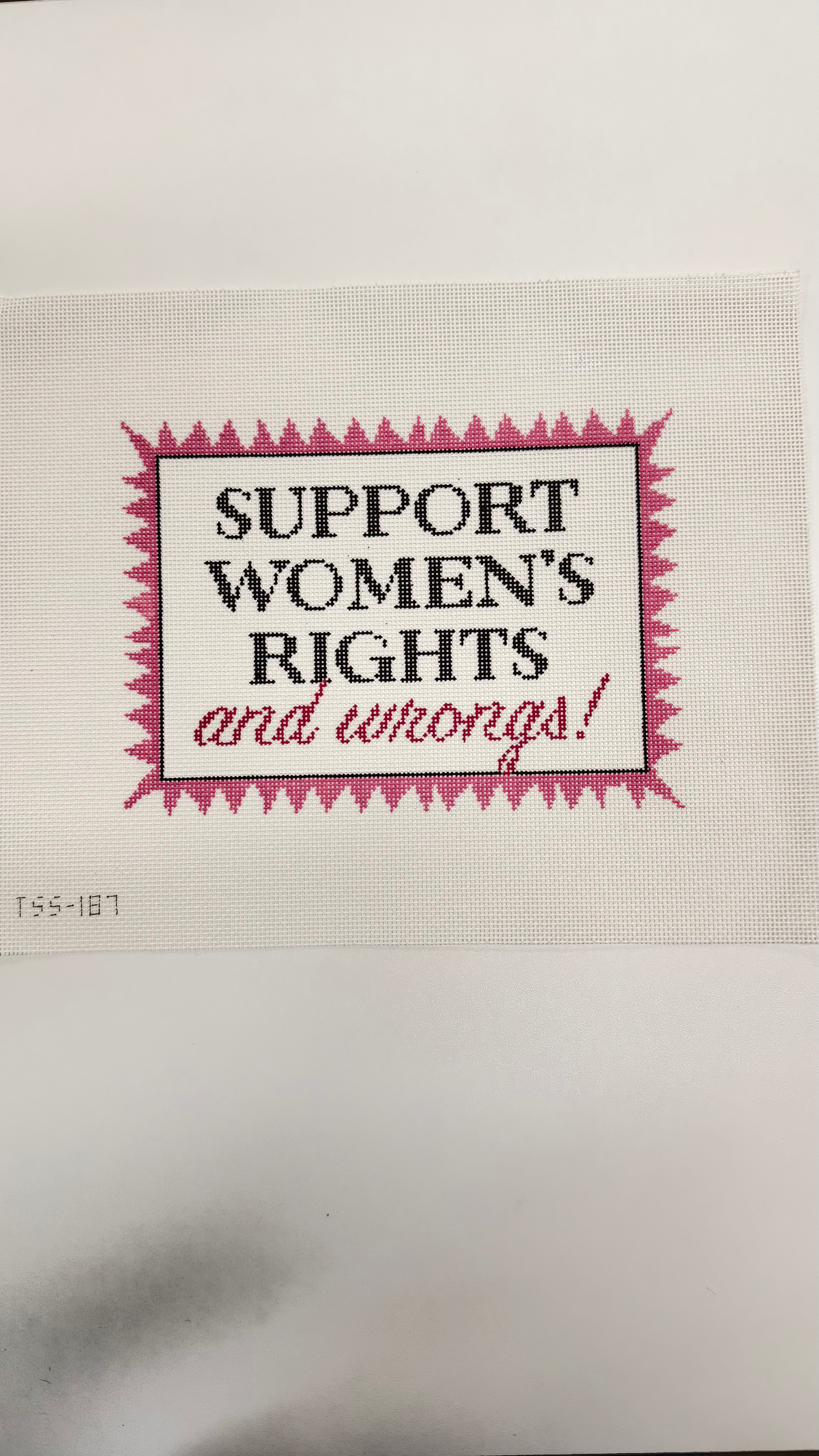 Support Women's Rights and Wrongs Canvas