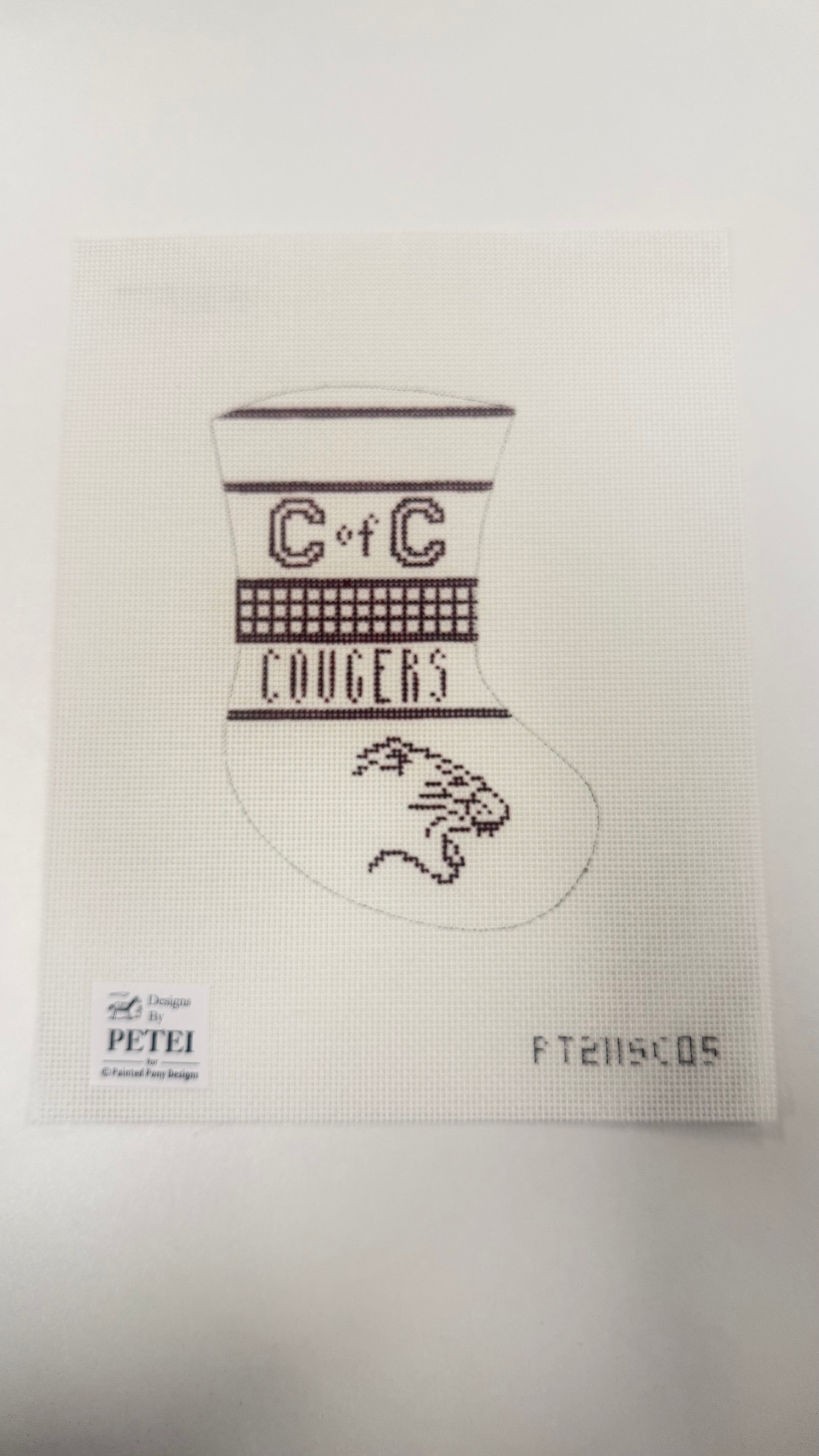 College of Charleston Mini Stocking Canvas