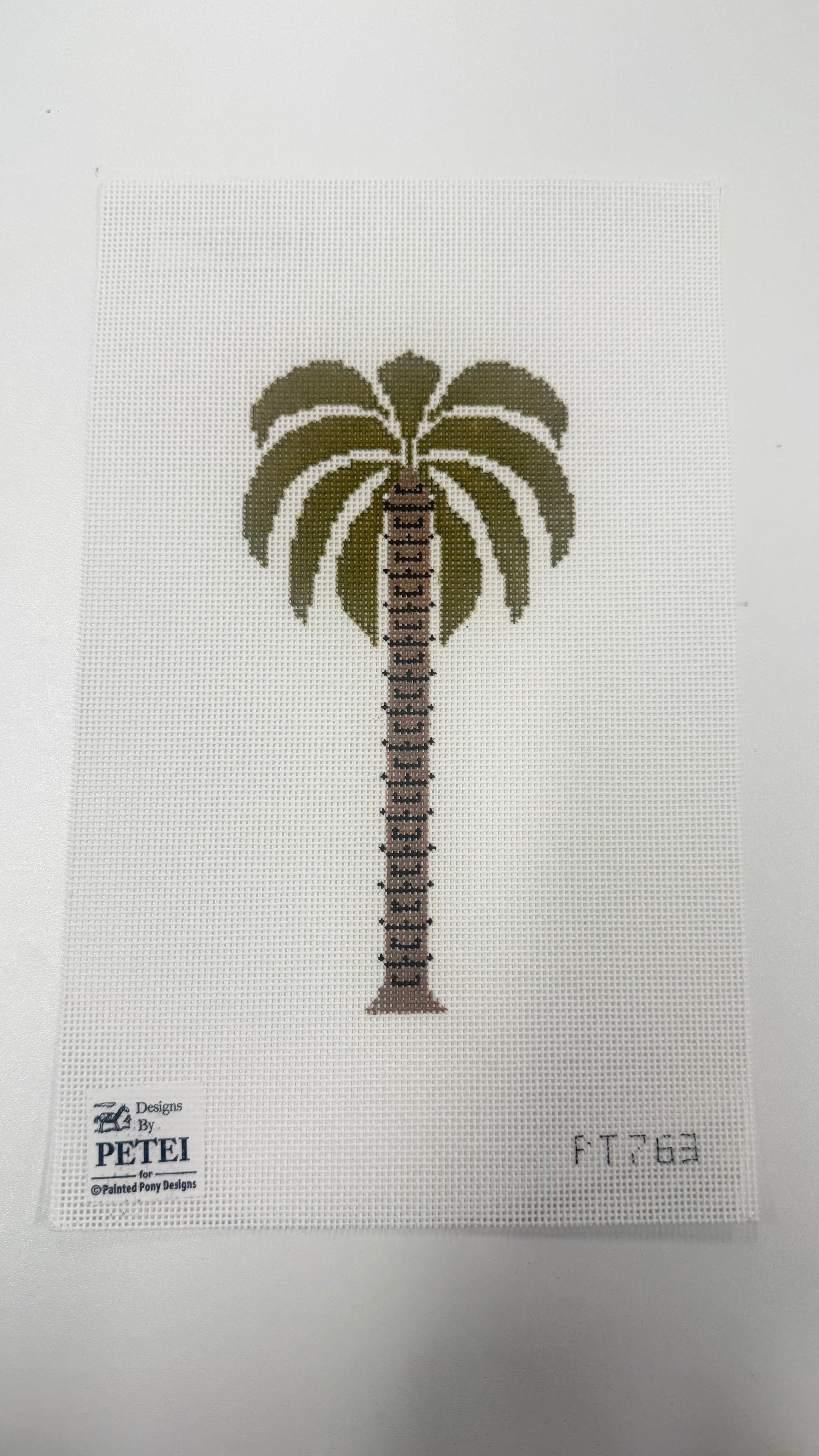 Palm Tree Canvas