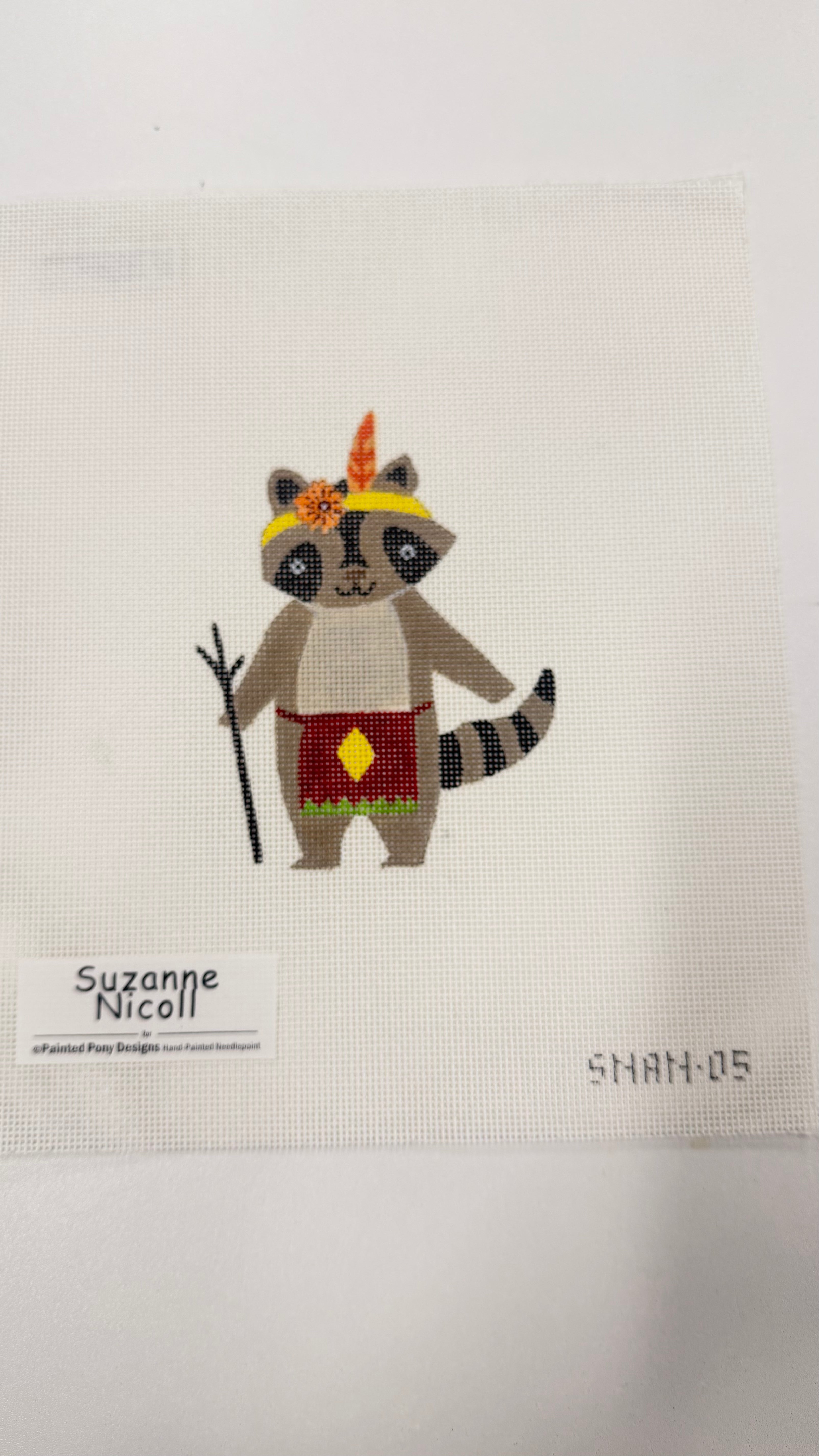 Raccoon SNAN-05 Canvas