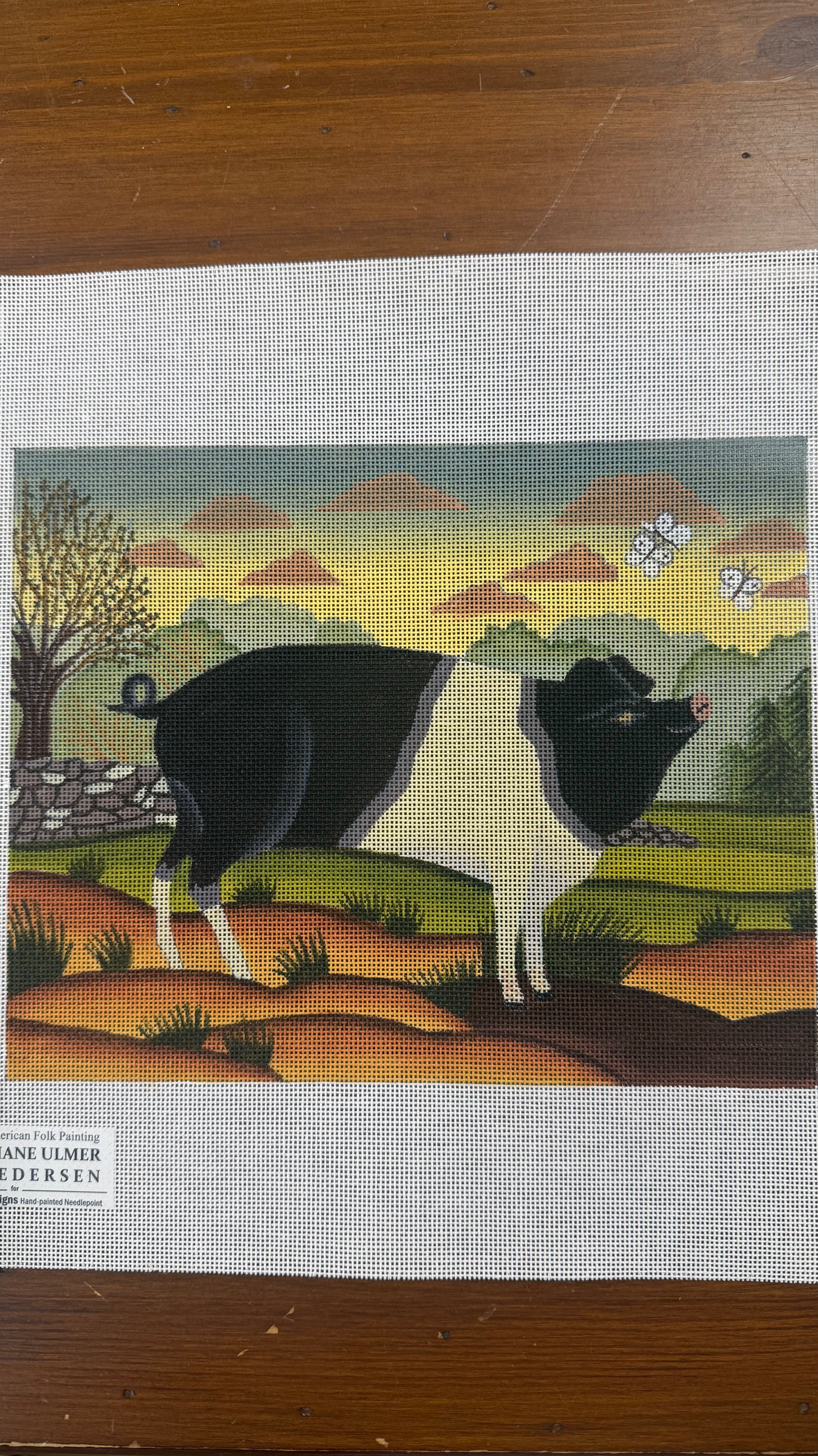 Pig Canvas