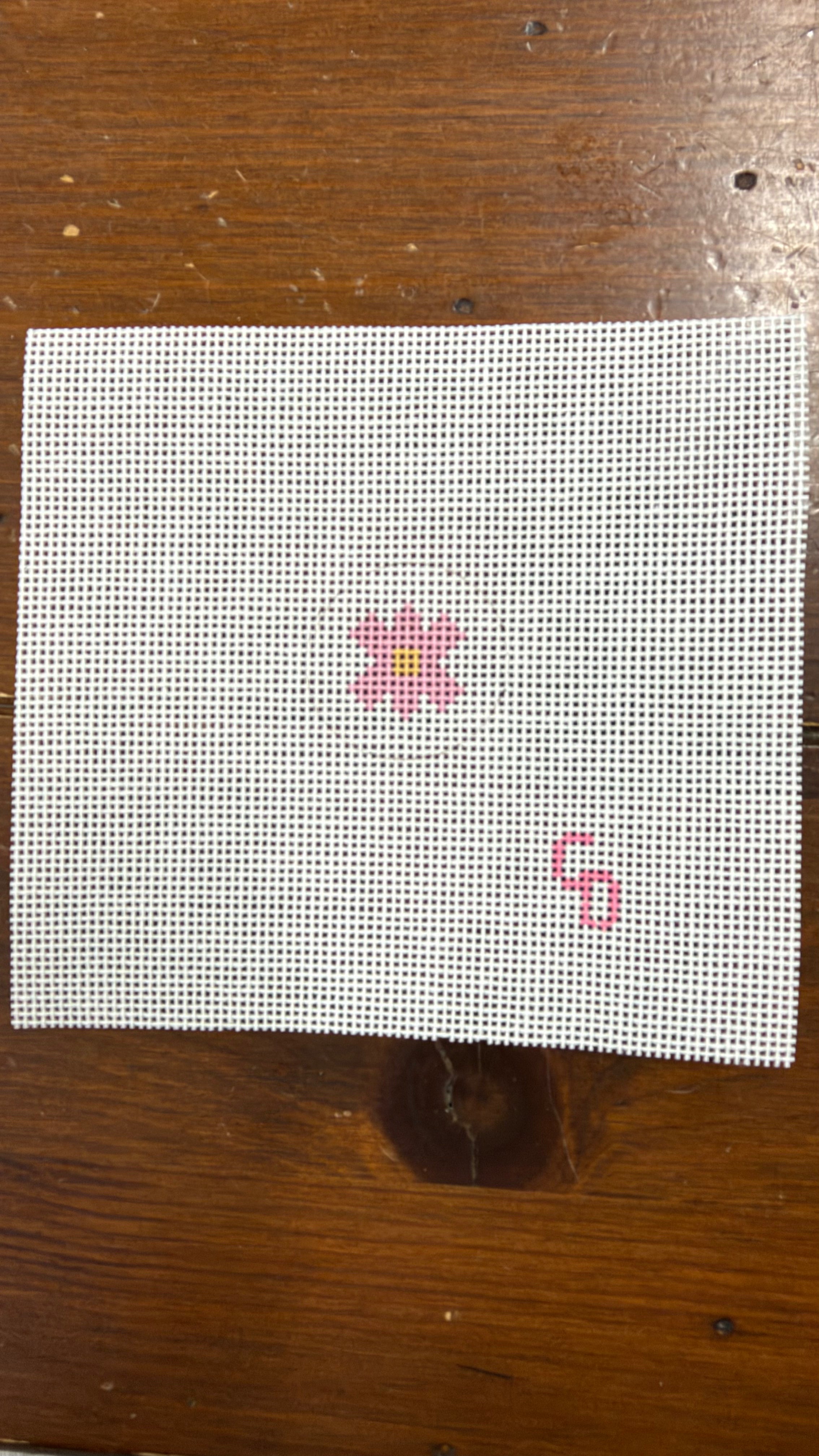 Mini Pink Flower Canvas