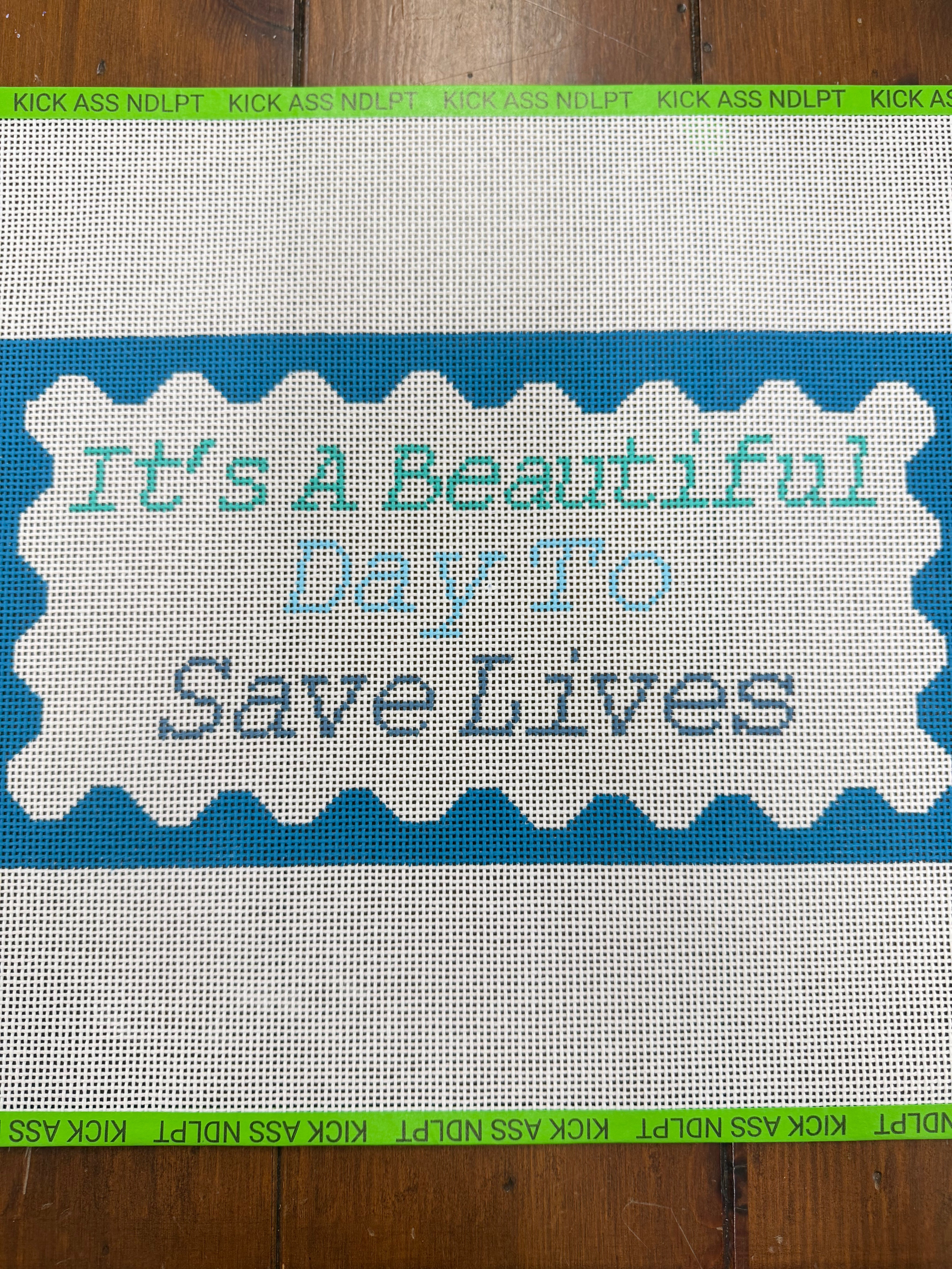 It's a Beautiful Day to Save Lives Canvas