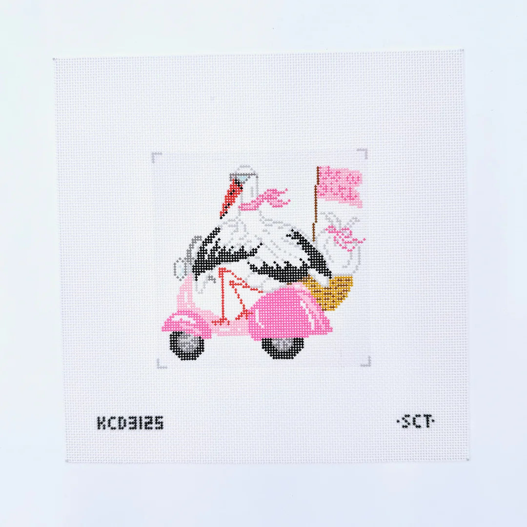 Special Delivery Stork – It’s a Girl Canvas