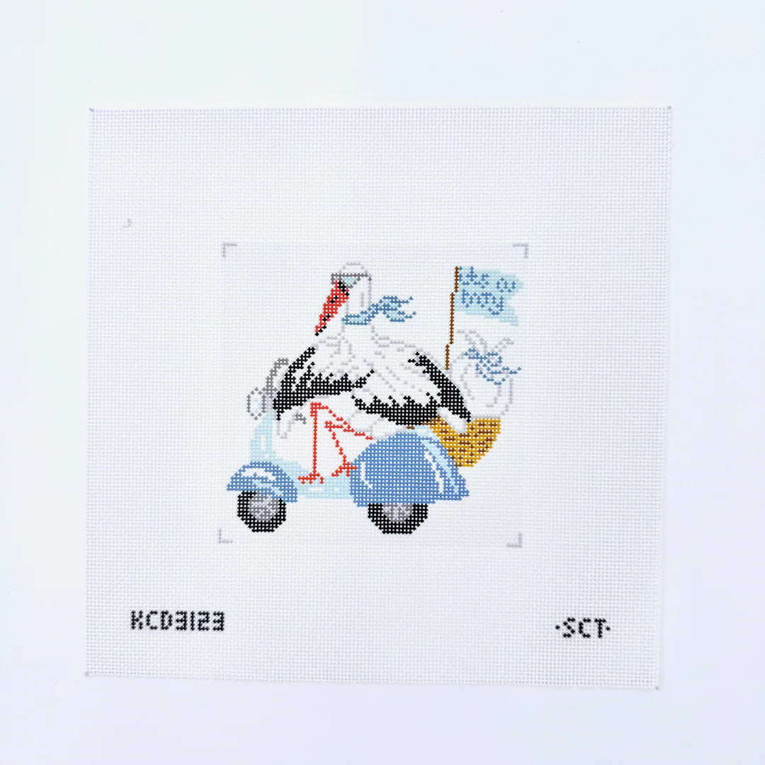 Special Delivery Stork – It’s a Boy Canvas