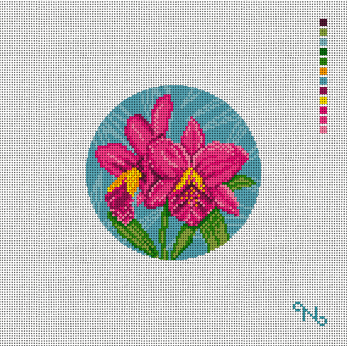 Cattleya Orchid Canvas