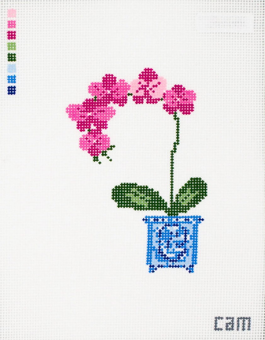 Orchid Canvas