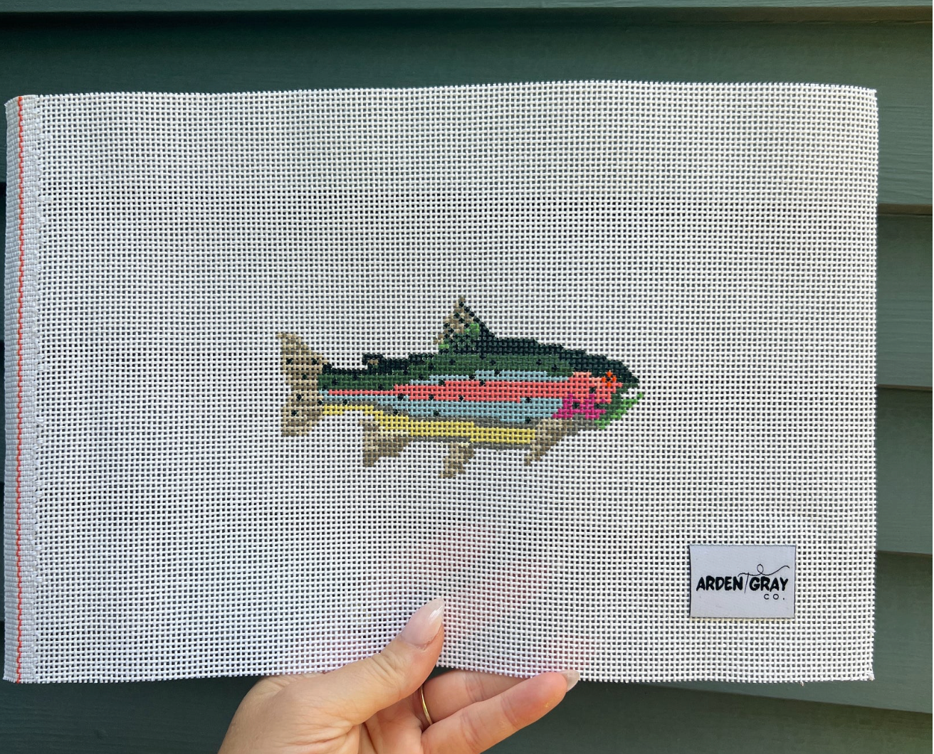 Rainbow Trout Canvas