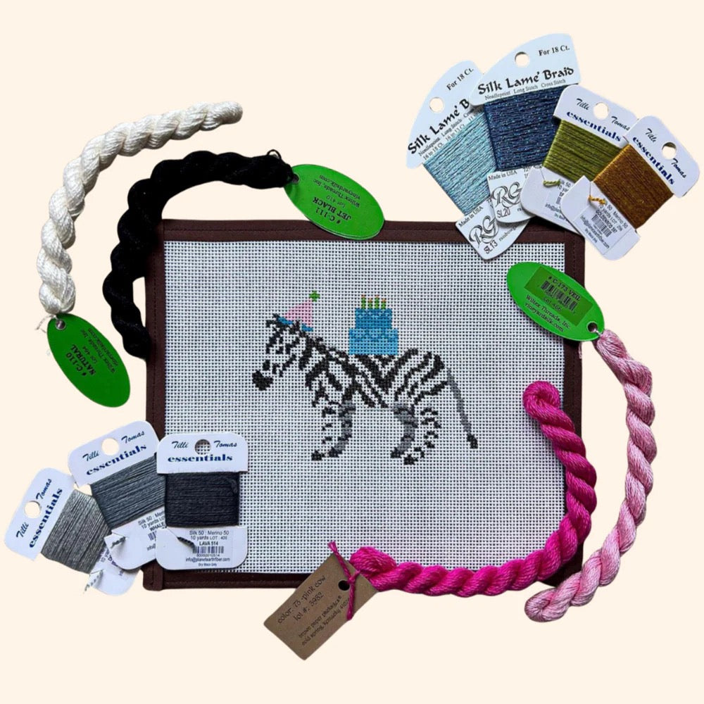 Party Animal Zebra Canvas