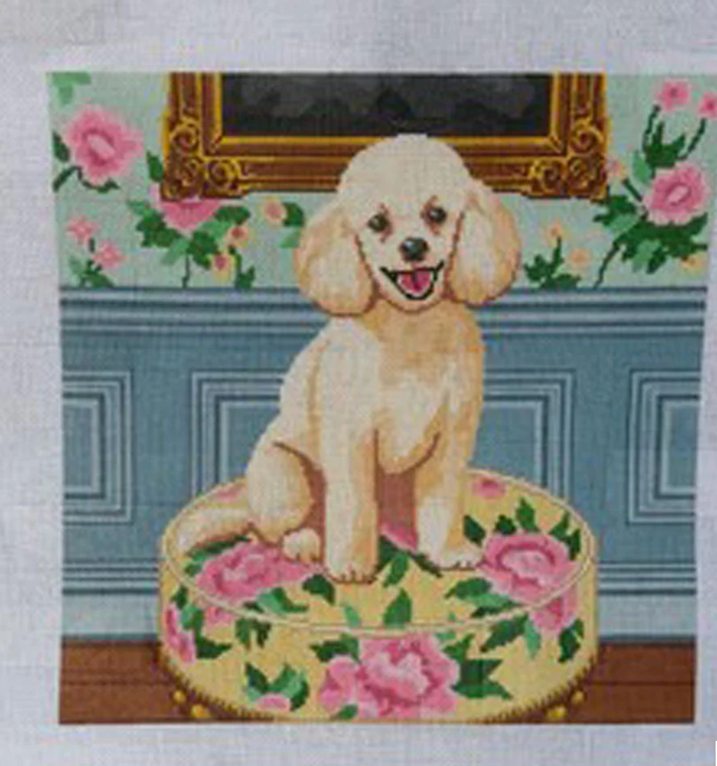 Pippa Properly Pampered Pup Canvas