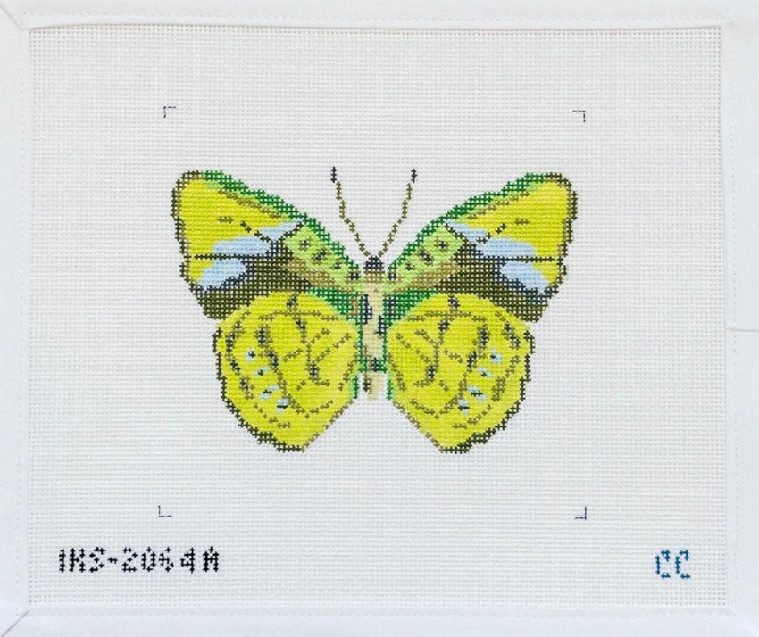 Green Butterfly Ornament Canvas