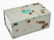 Talulah Mahjong Tiles