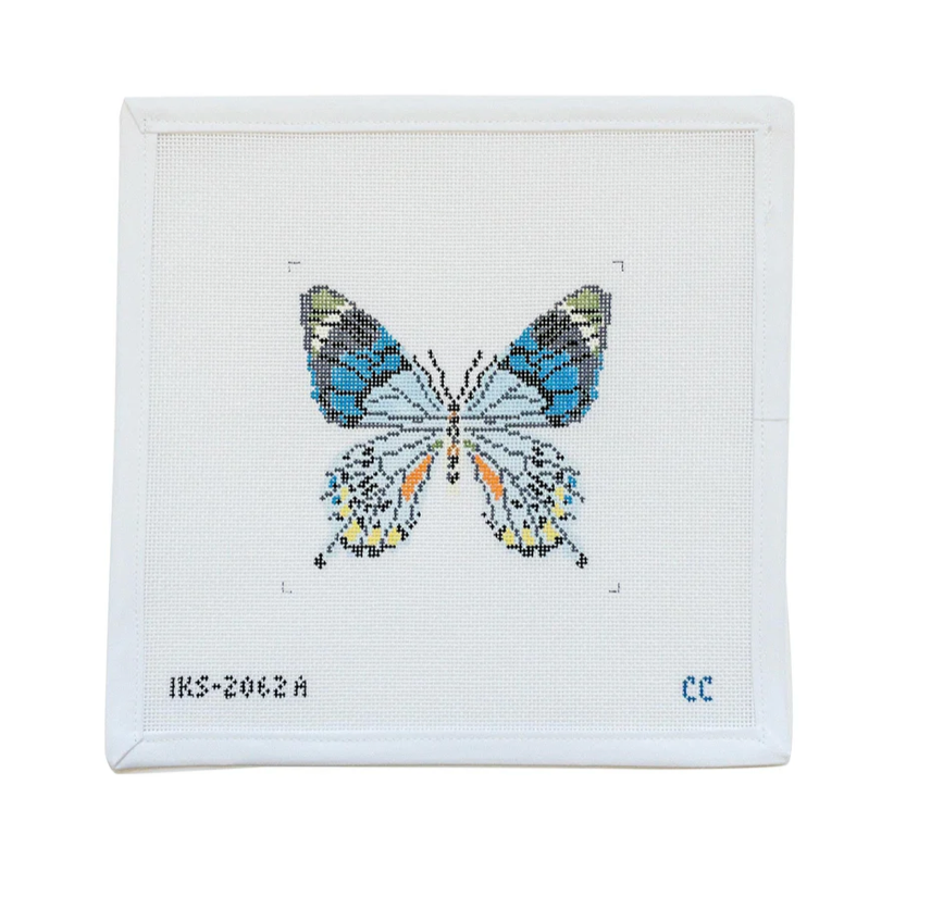 Blue Grey Butterfly Ornament Canvas
