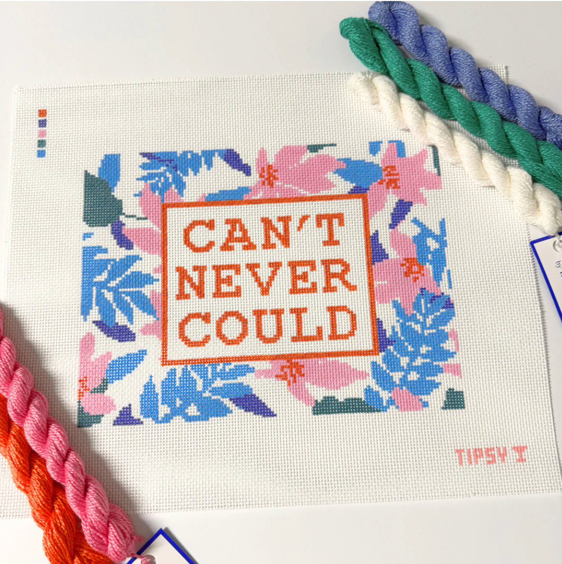 Can't Never Could Canvas