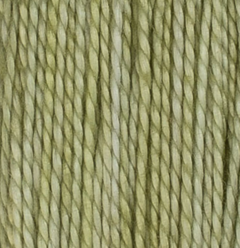 6 Privet 3 Cotton Thread