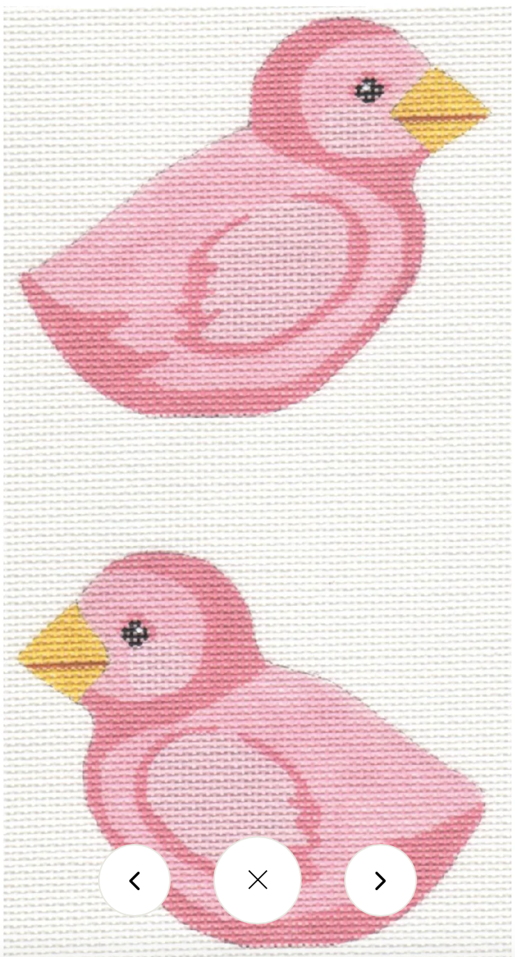 Pink Chick Double Sided Canvas