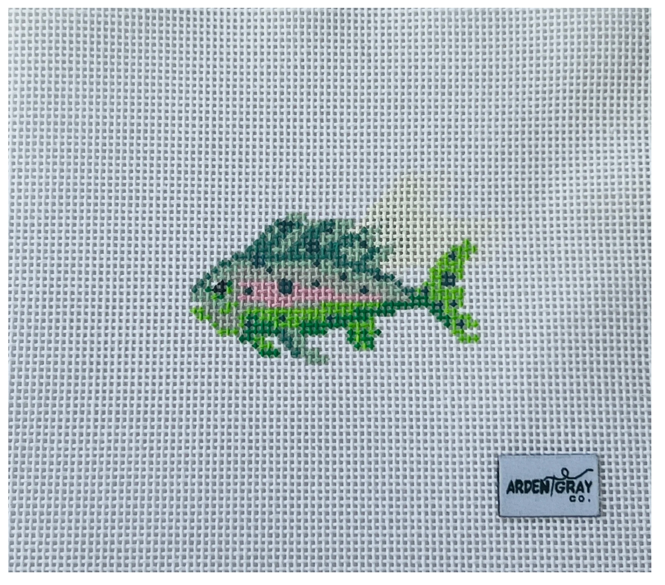 Mini Bright Fish Canvas